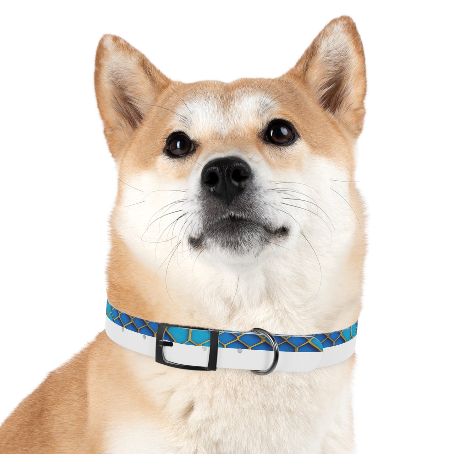 Hexagonal Harmony Dog Collar