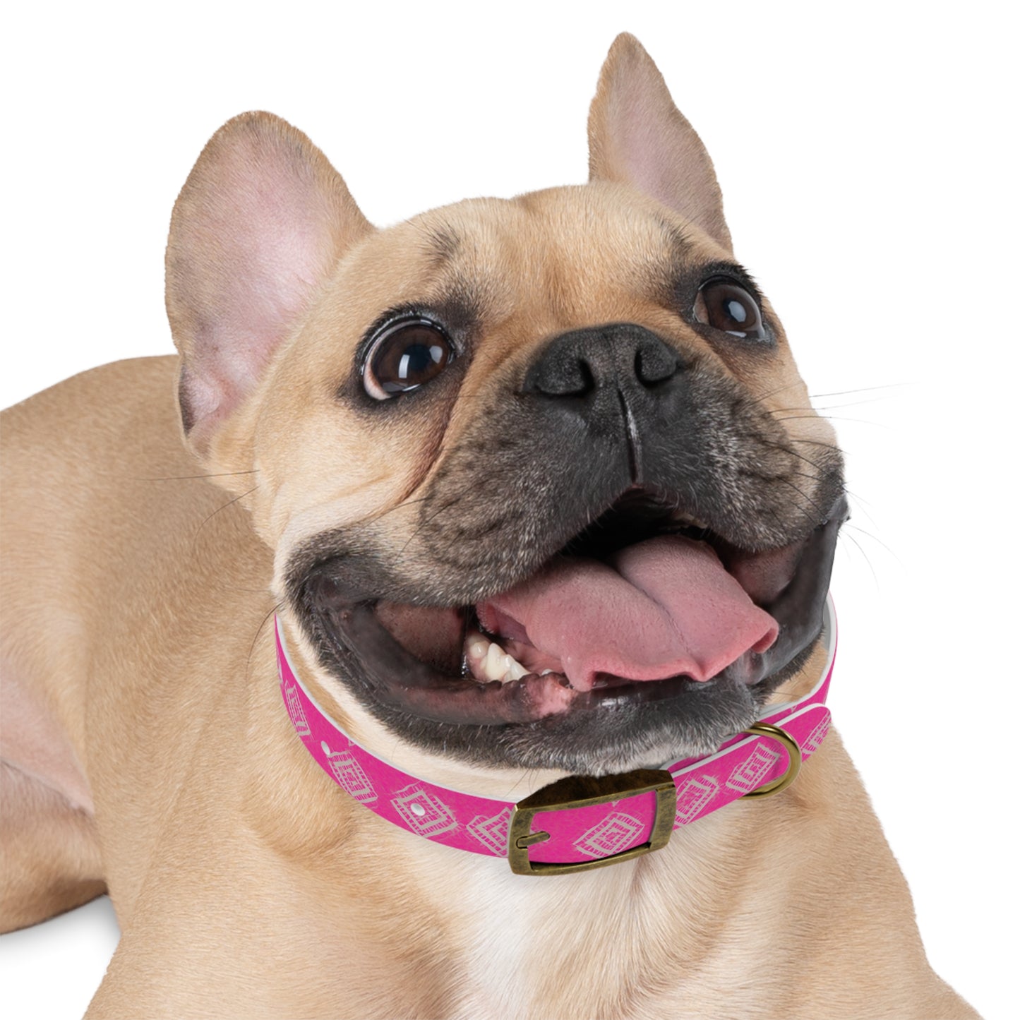 Brilliant Bliss Dog Collar