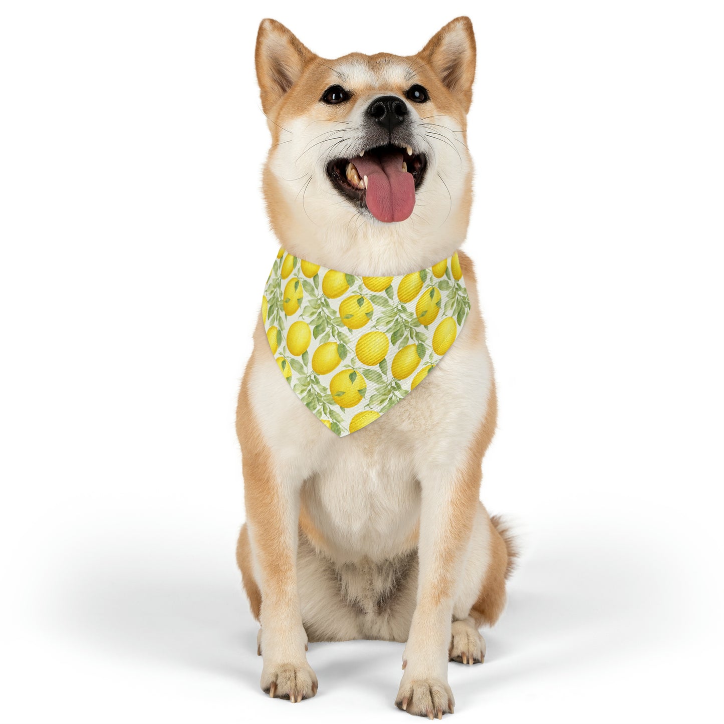 Lemon Watercolor Pattern Pet Bandana Collar