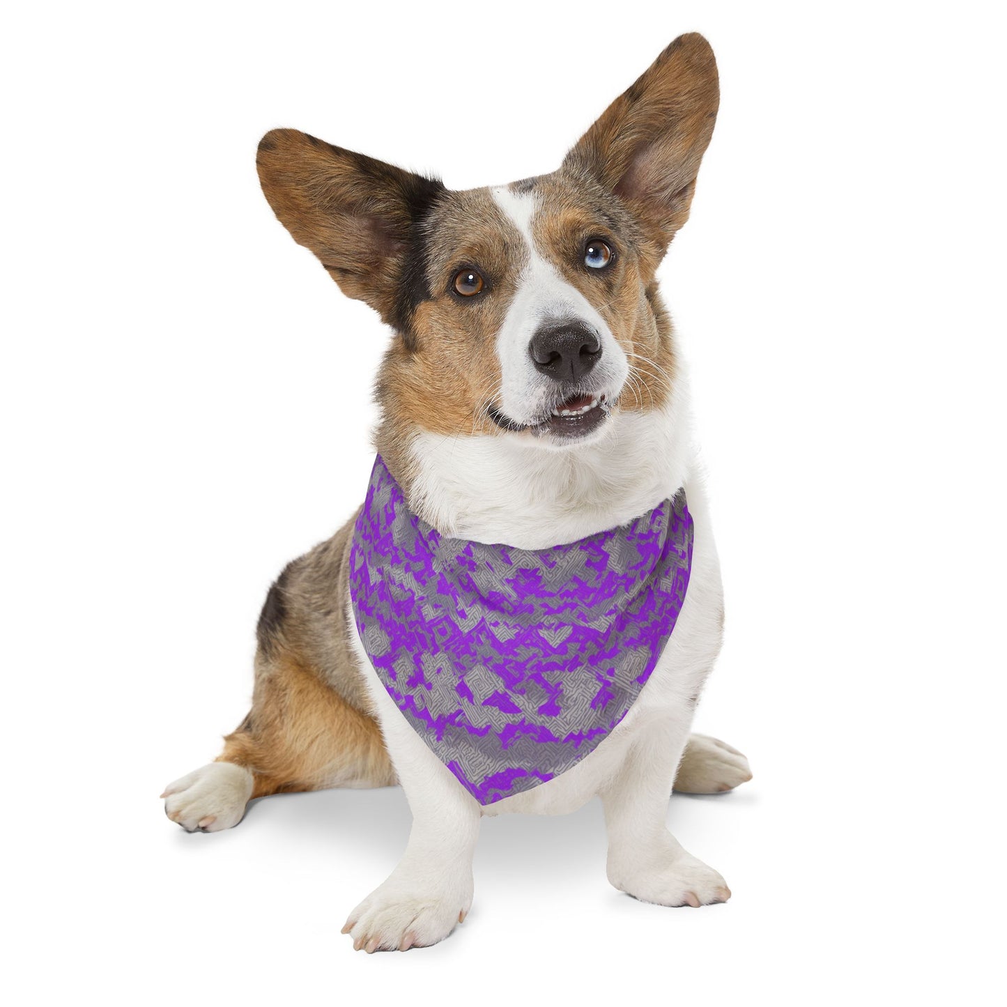 Diamond Dust Pet Bandana Collar