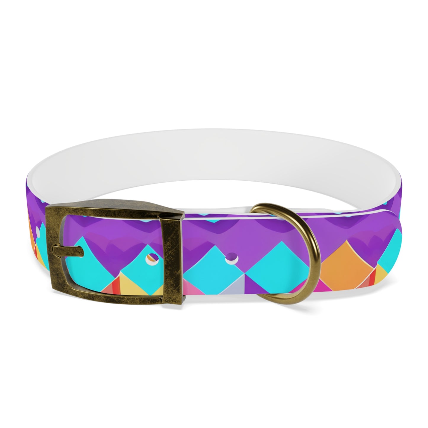 Prismatic Patterns Dog Collar