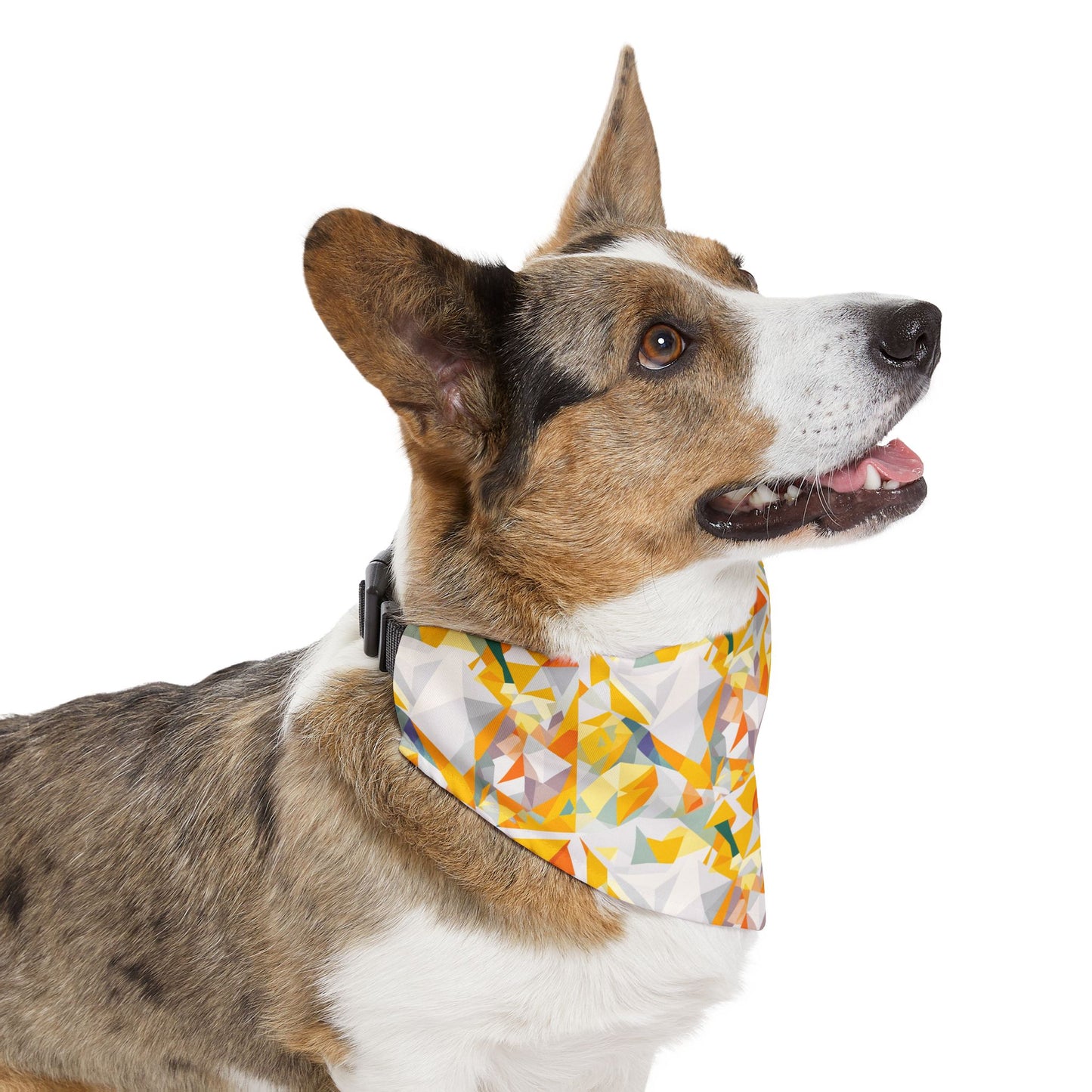 Polygon Prism Pet Bandana Collar