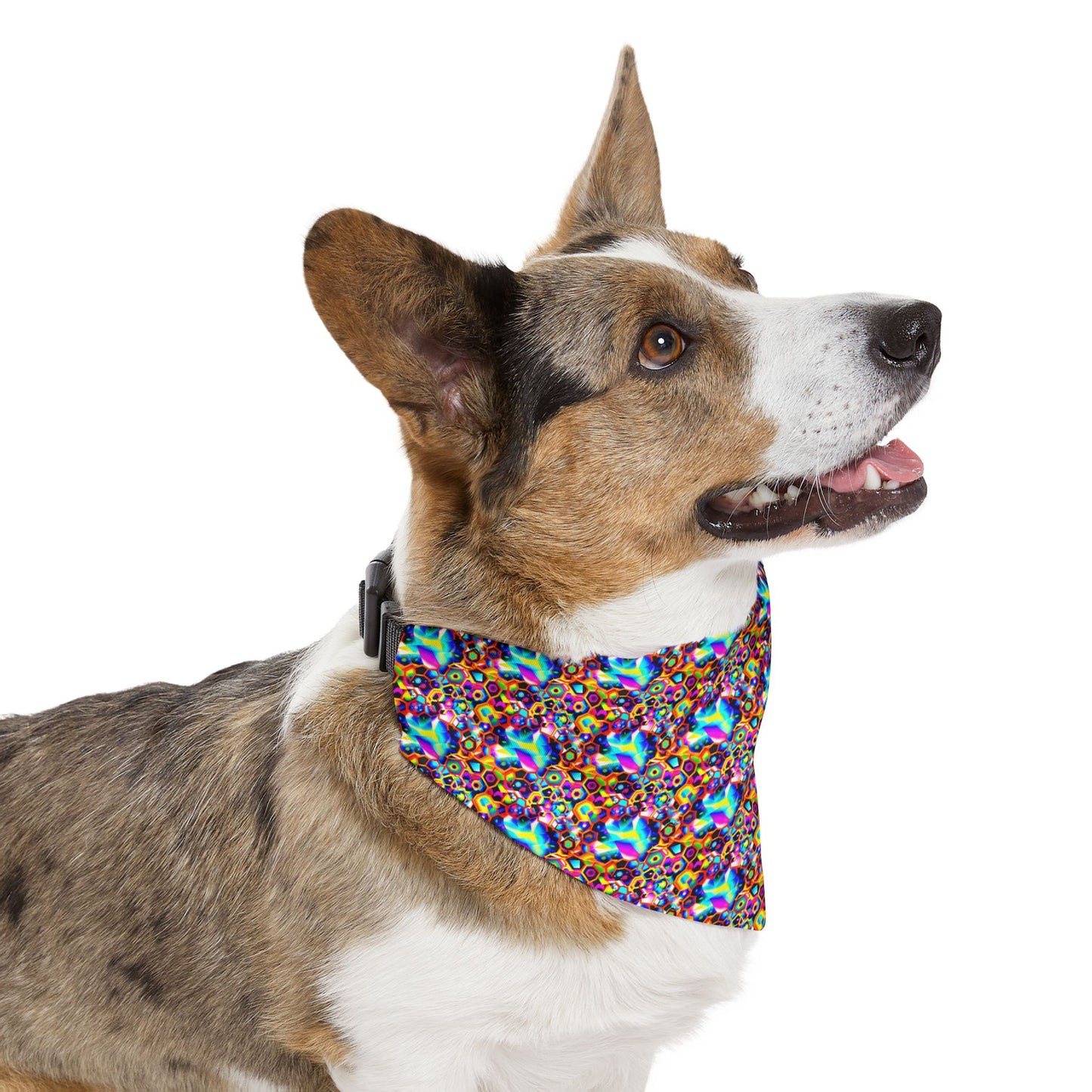 Cosmic Cascade Pet Bandana Collar