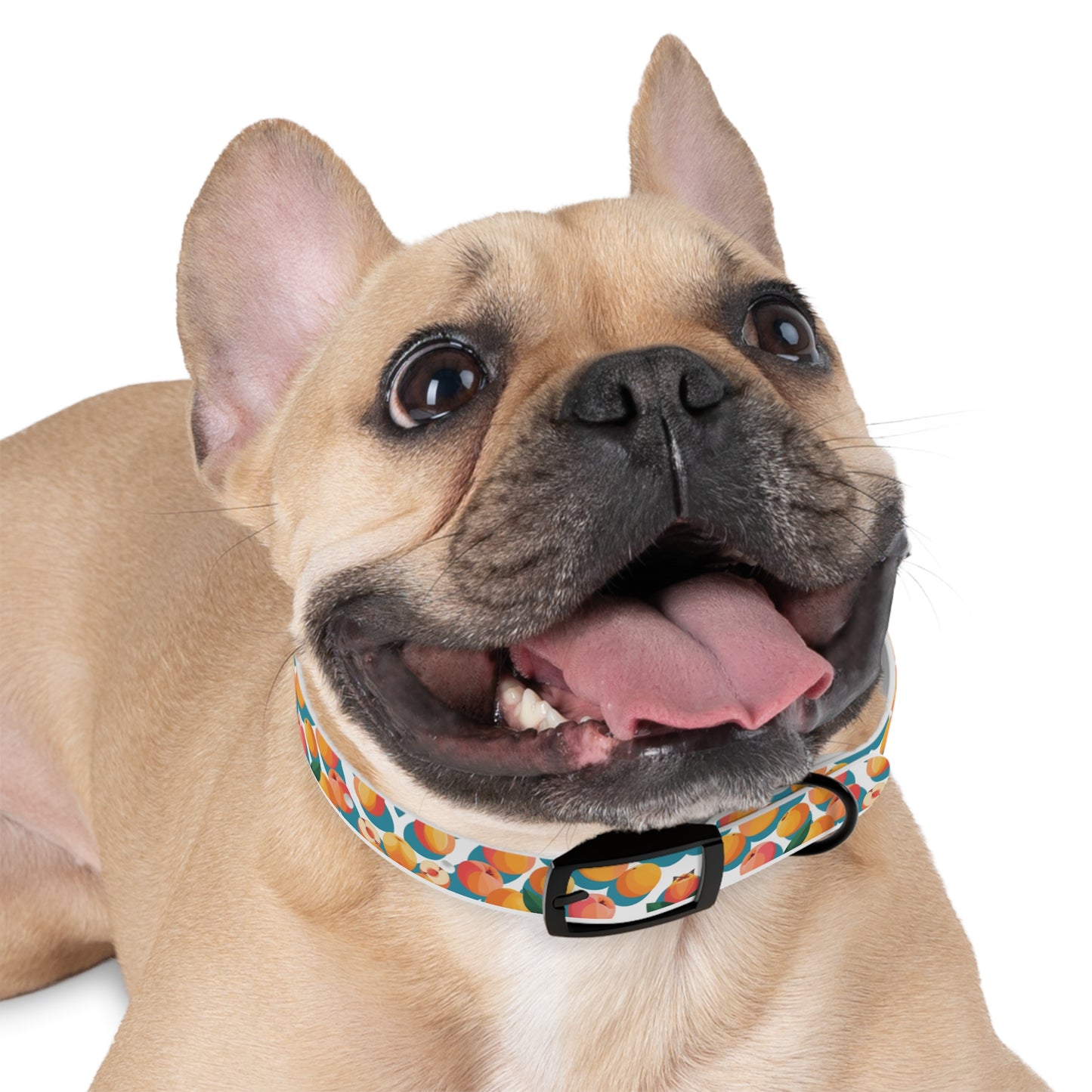 Peachy Keen Dog Collar