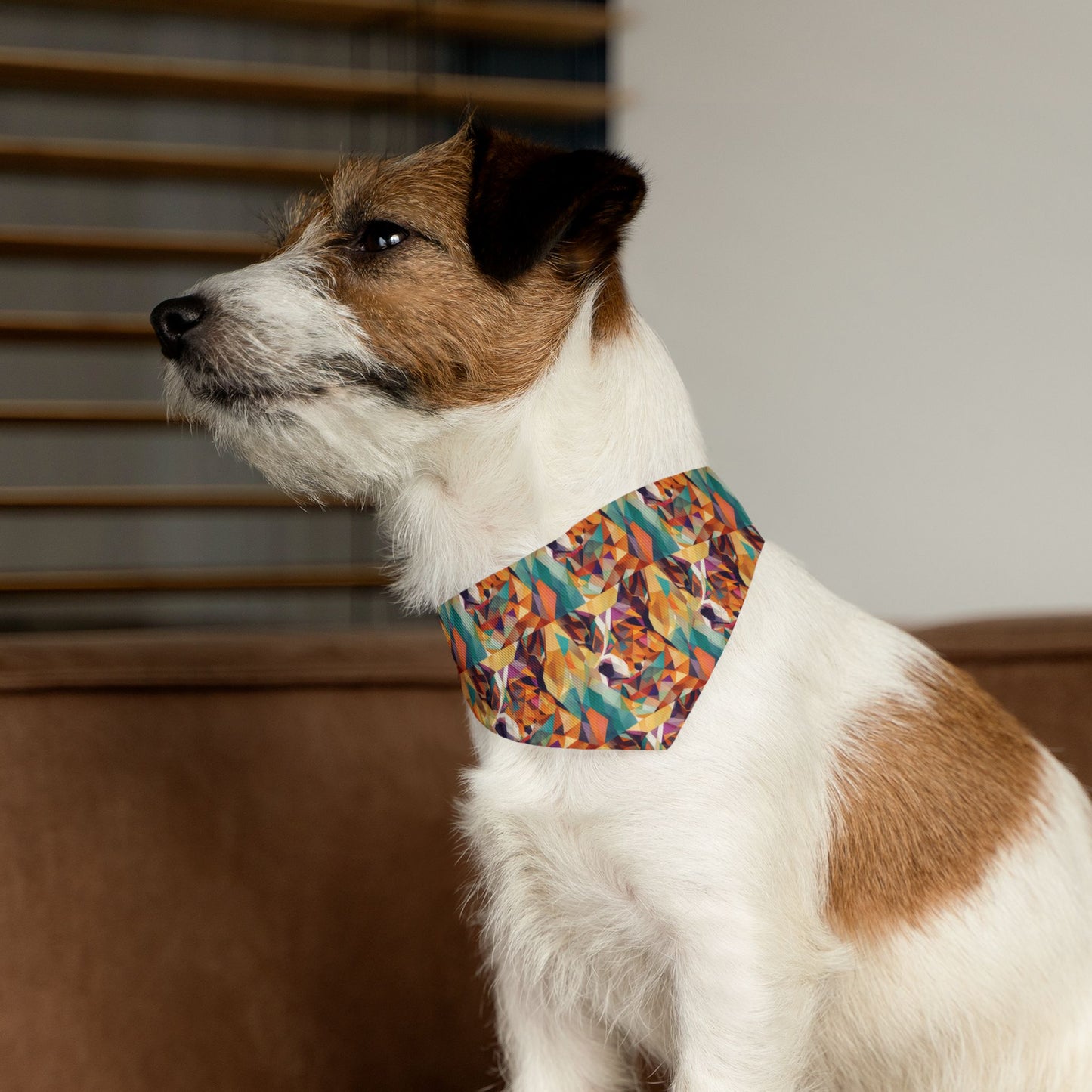 Doggy Dimensions Pet Bandana Collar