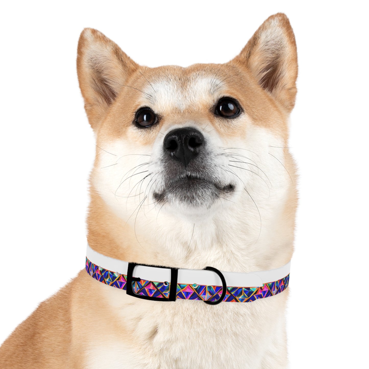 Tri-Fusion Dog Collar