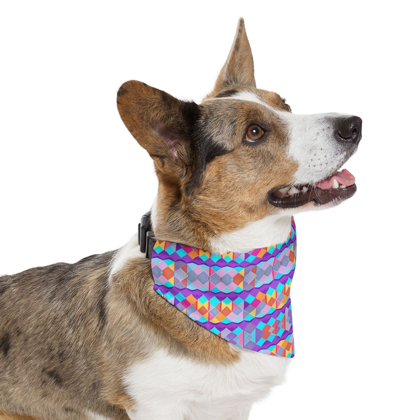 Prismatic Patterns Pet Bandana Collar