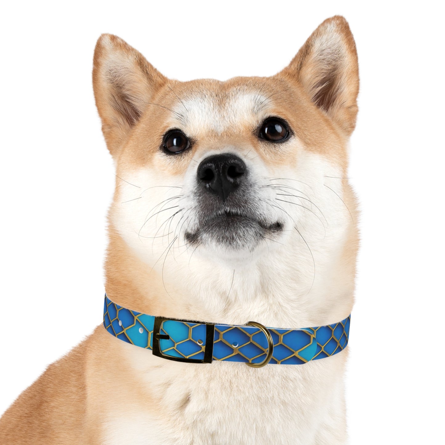 Hexagonal Harmony Dog Collar