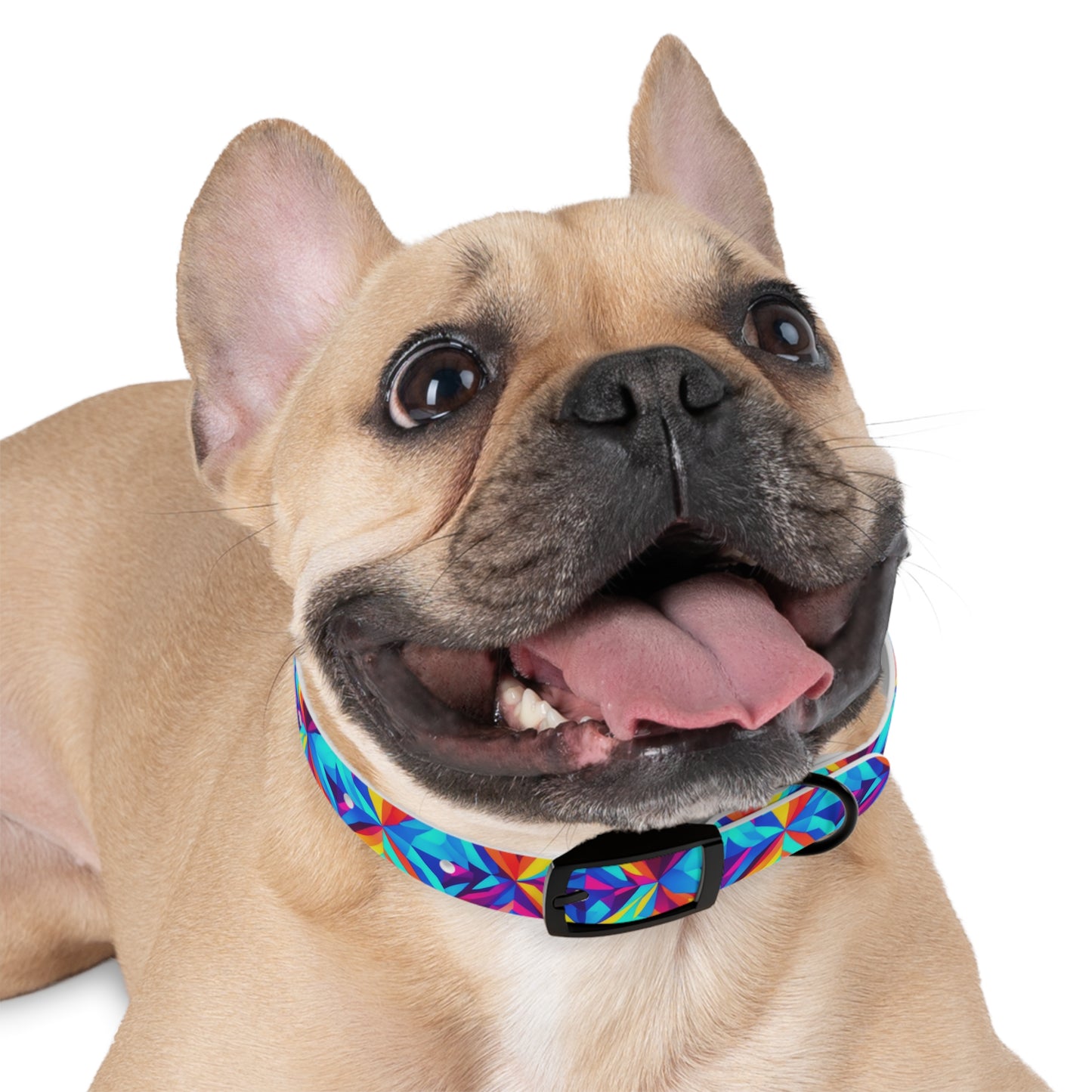 Vivid Diamonds Dog Collar