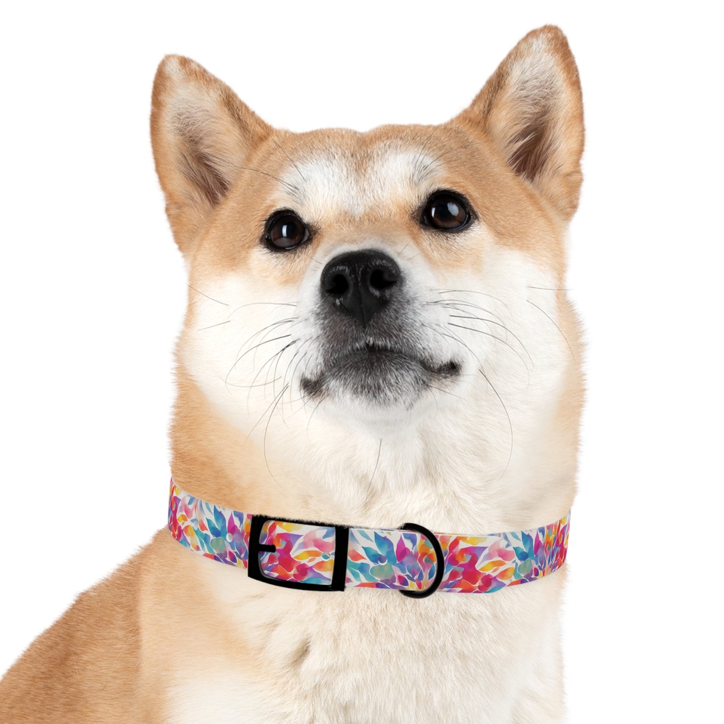 Mandala Mirage Dog Collar