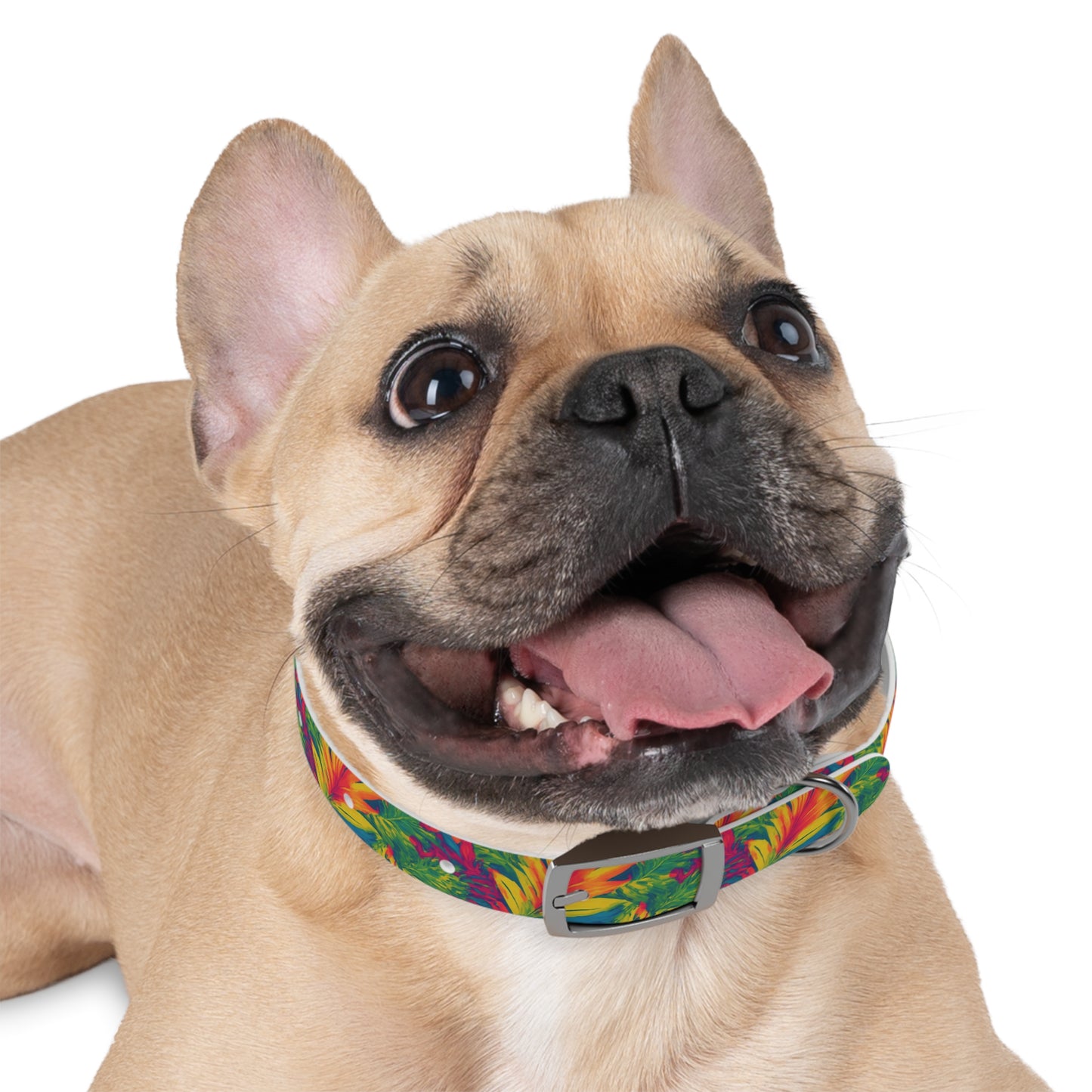 Meadow Melody Dog Collar