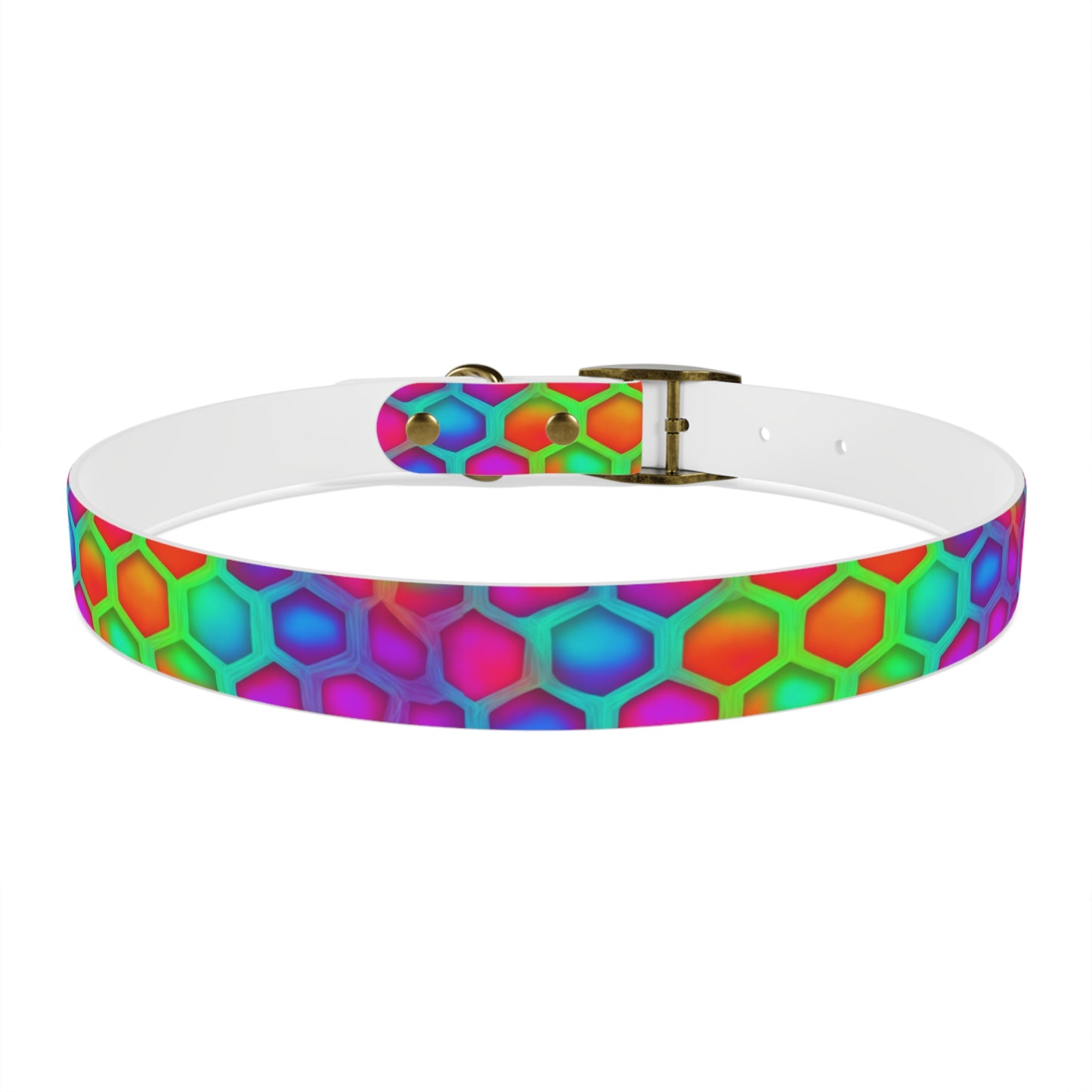 Color Hive Dog Collar