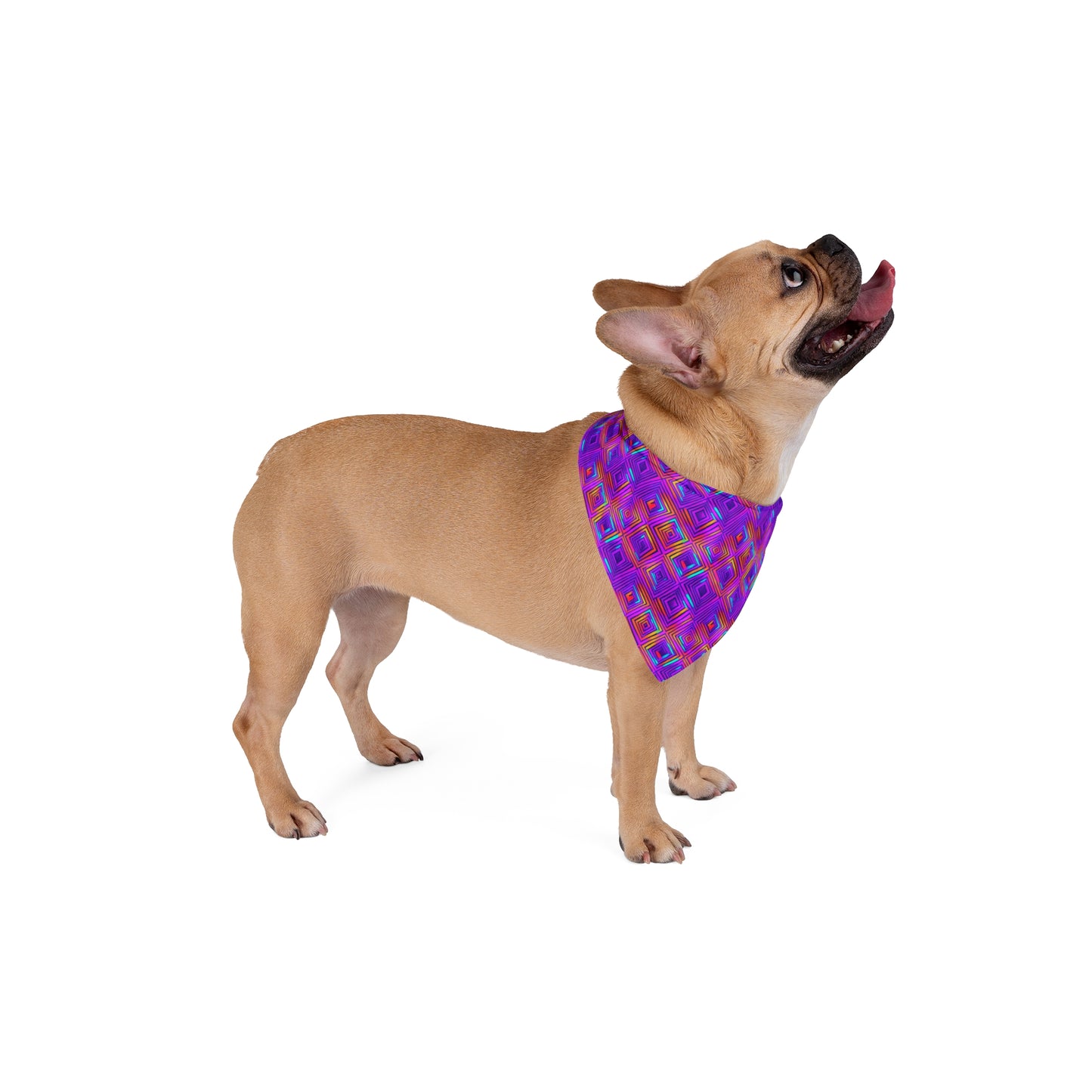 Color Gems Pet Bandana