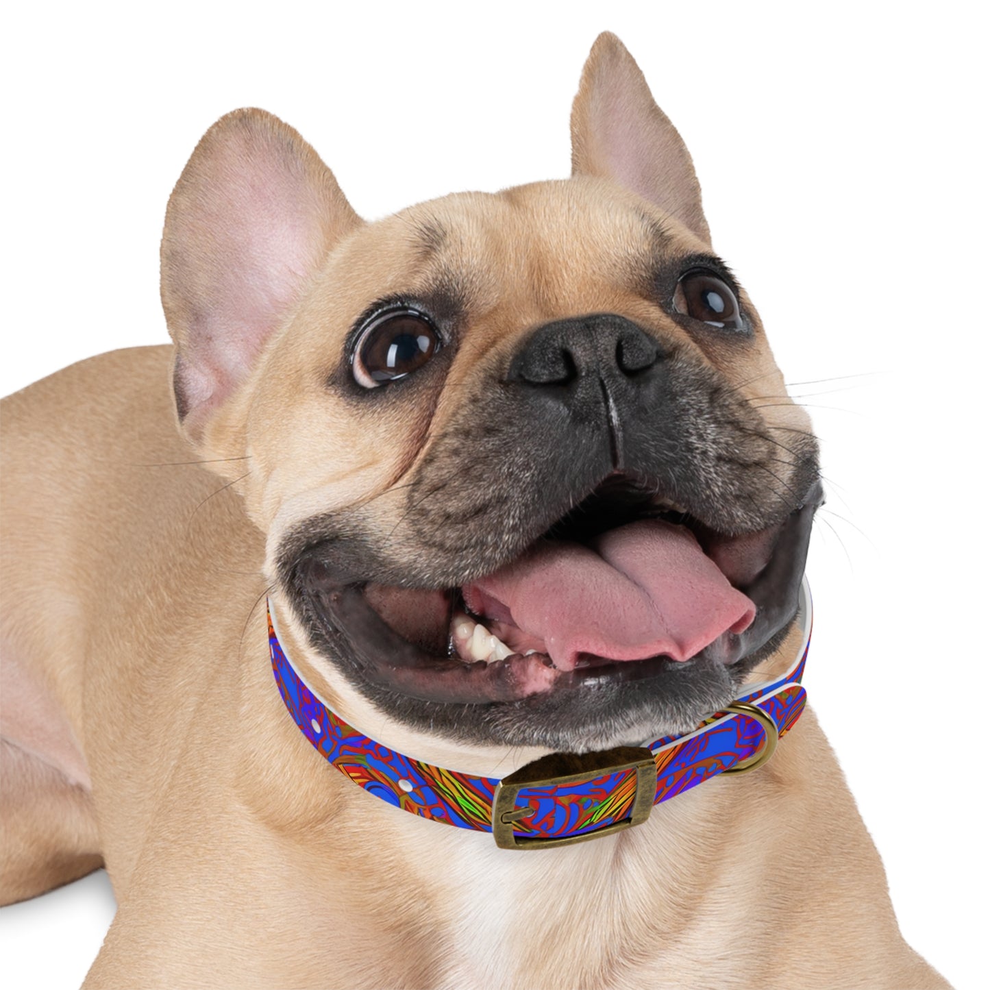 Brilliant Blend Dog Collar