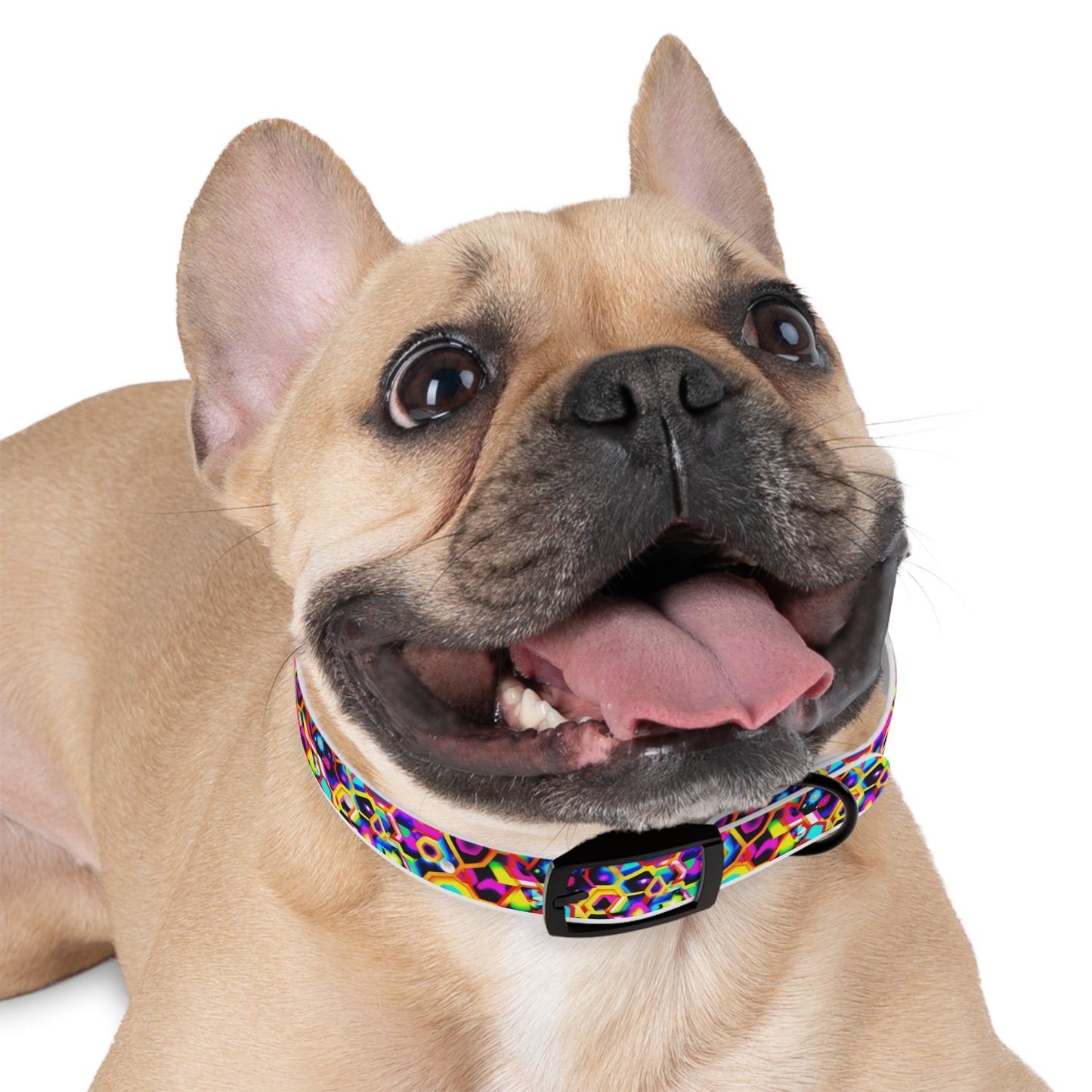 Cosmic Cascade Dog Collar