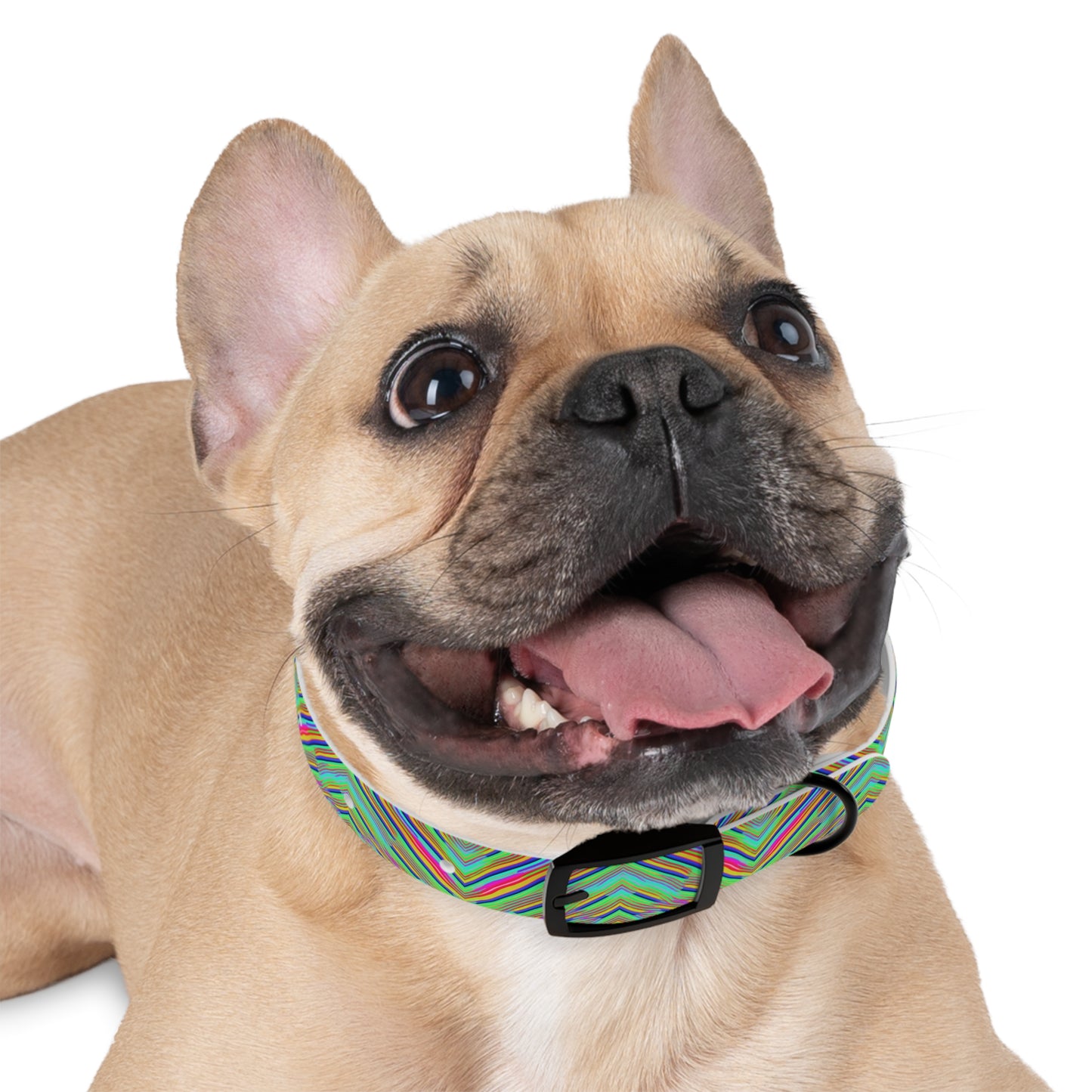 Neon Edges Dog Collar