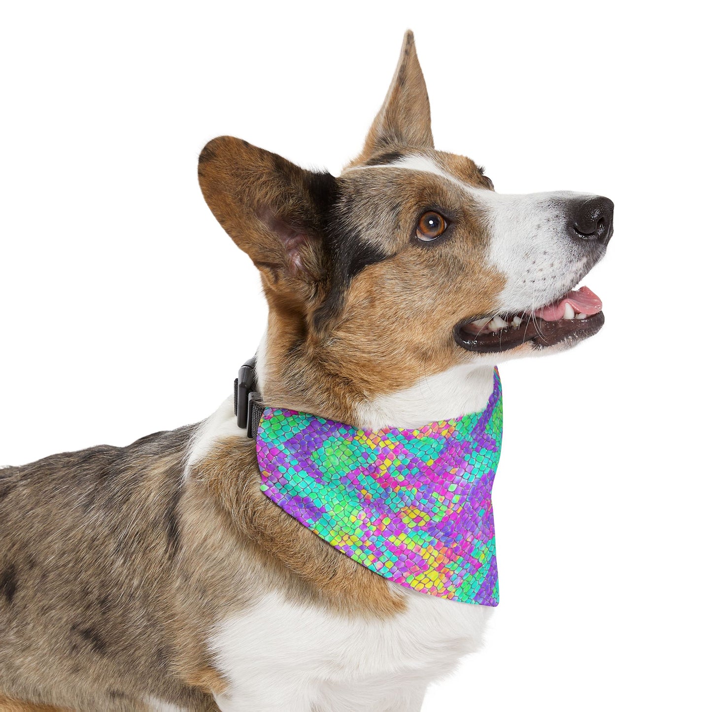 Fluid Fusion Pet Bandana Collar