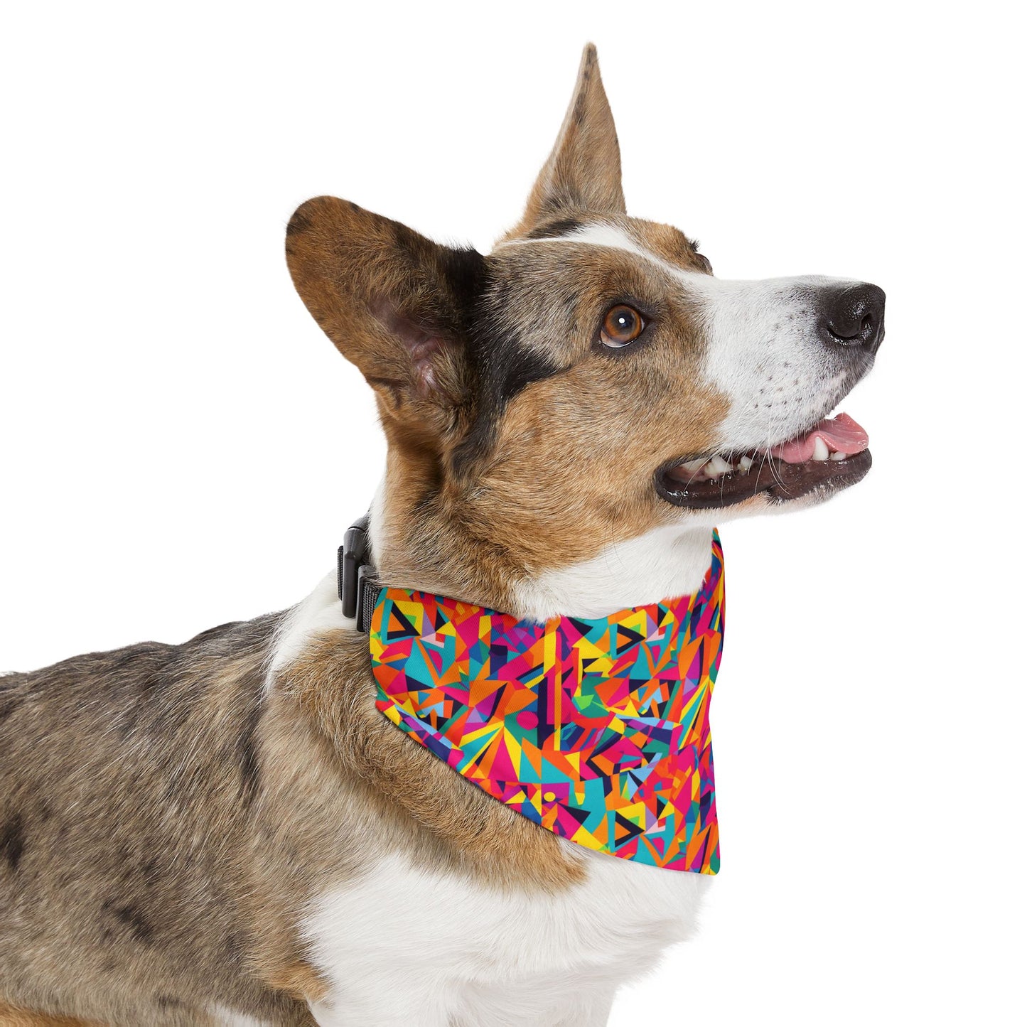 Kaleido Charm Pet Bandana Collar