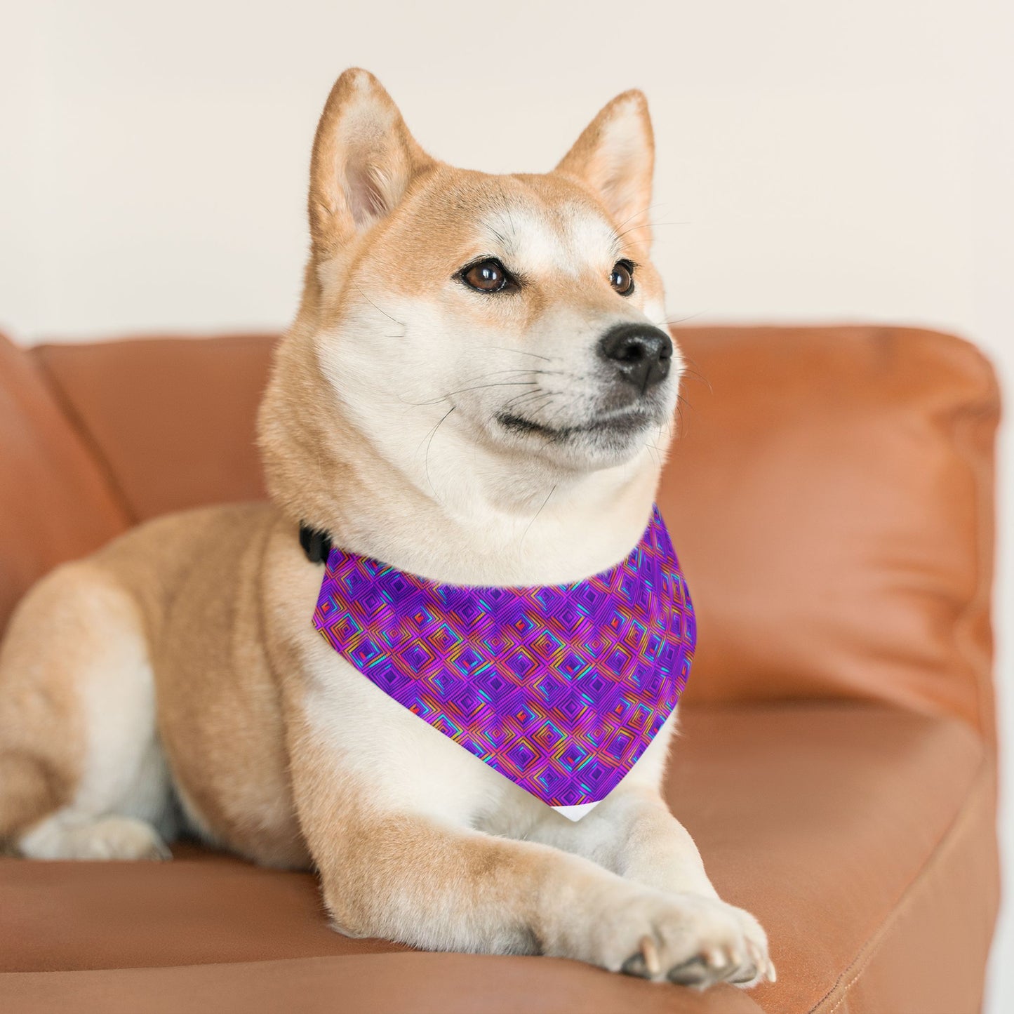 Color Gems Pet Bandana Collar