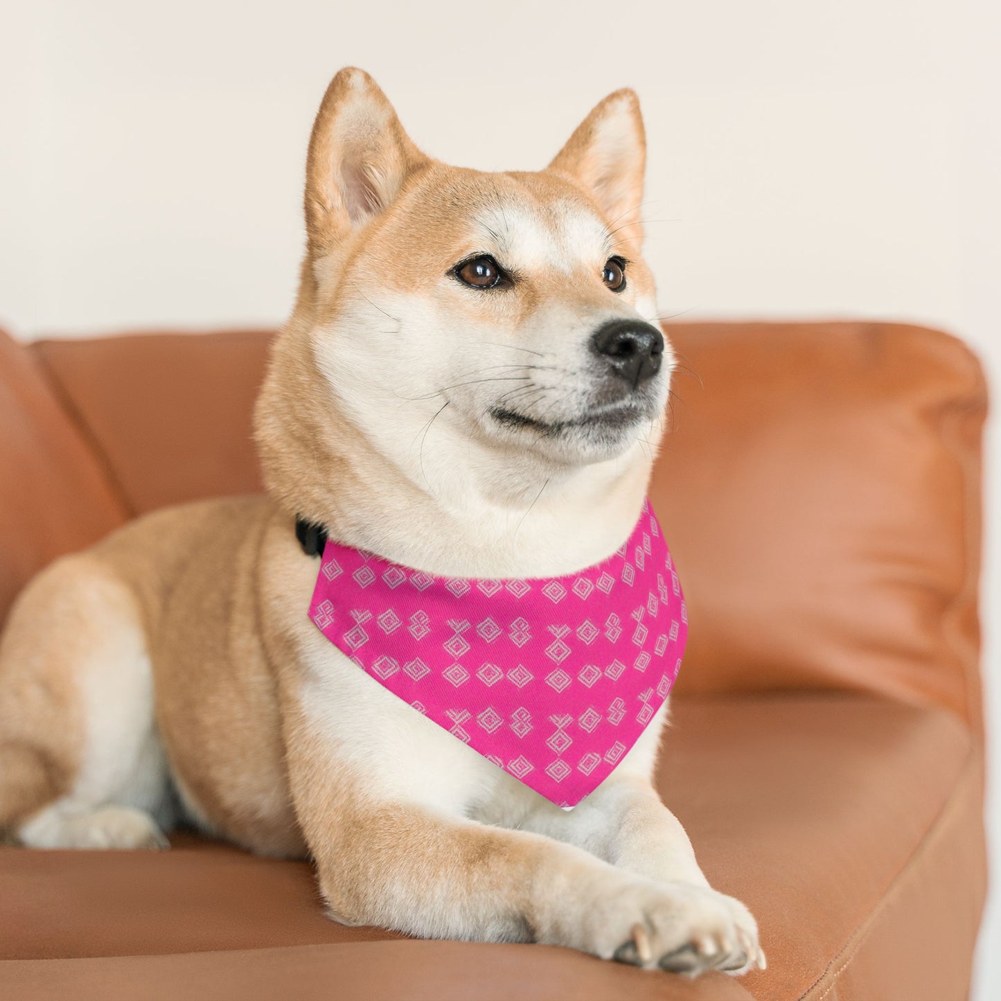 Brilliant Bliss Pet Bandana Collar