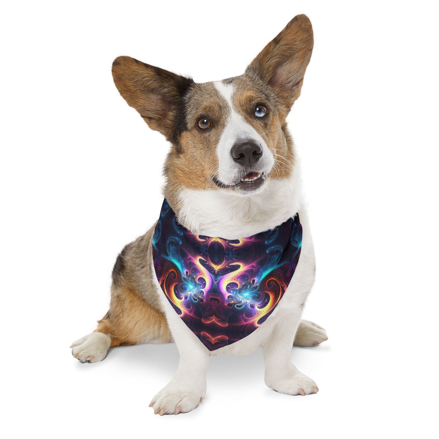 Neon Spiral Pet Bandana Collar