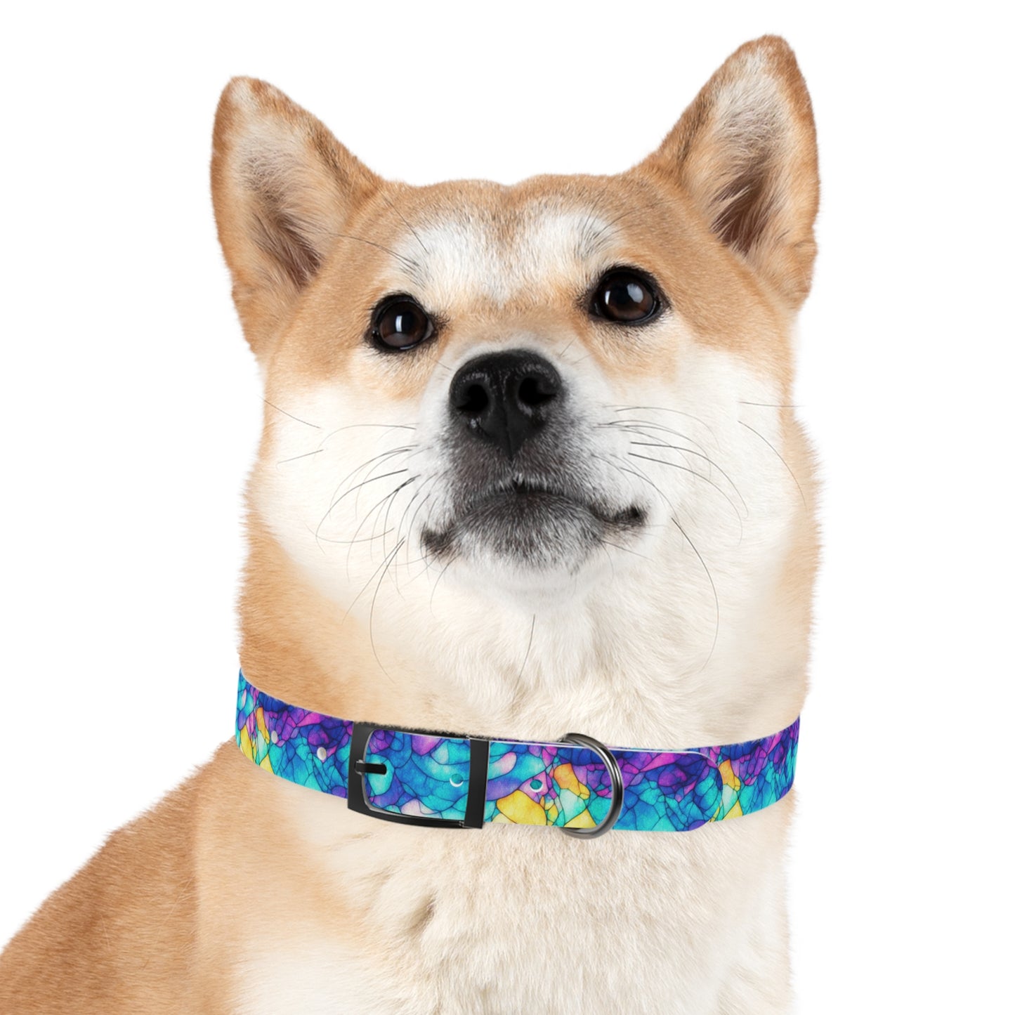 Trippy Tranquility Dog Collar