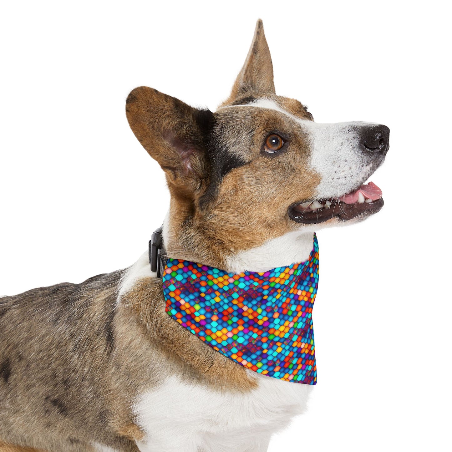 Hexa Spectrum Pet Bandana Collar