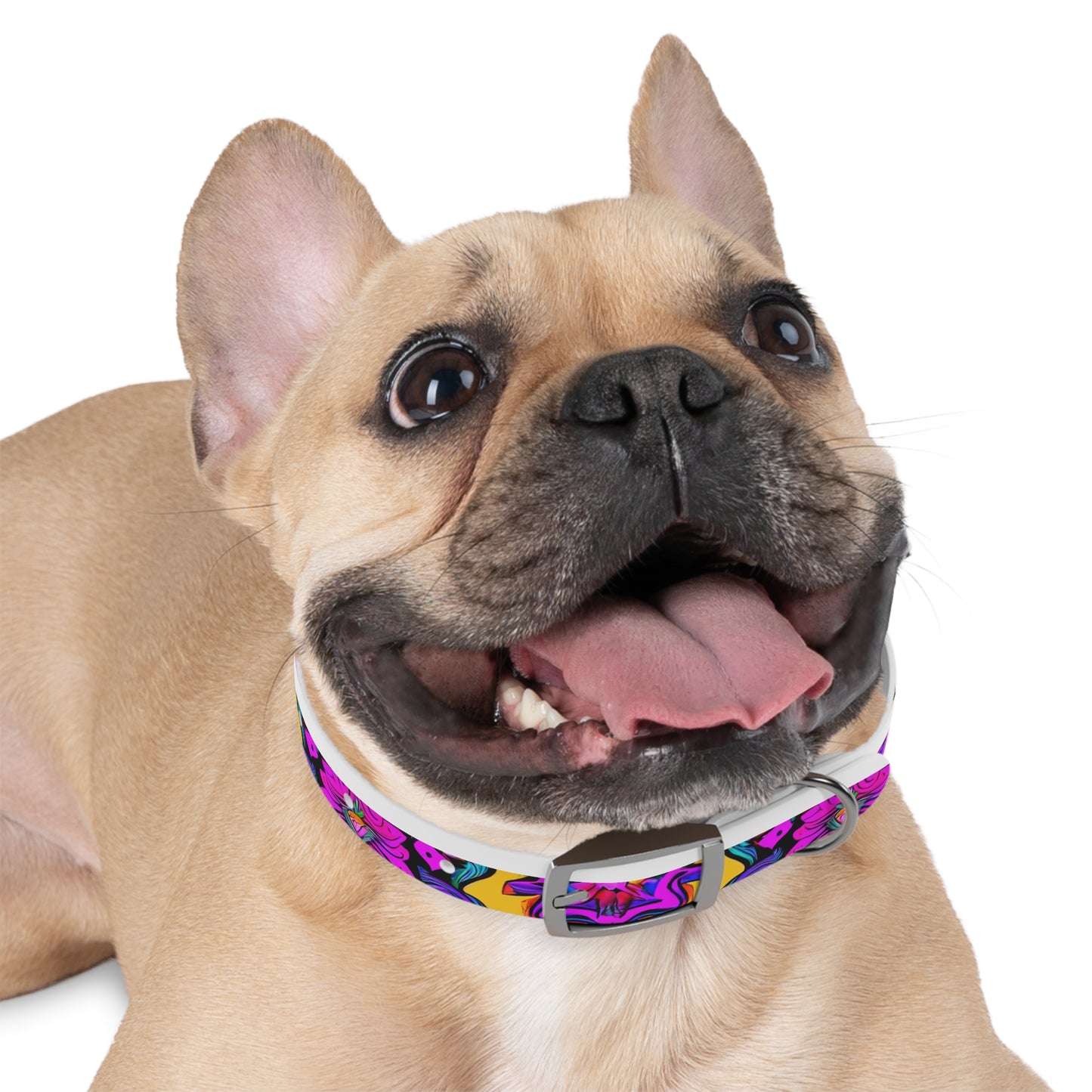 Vibrant Illusions Dog Collar