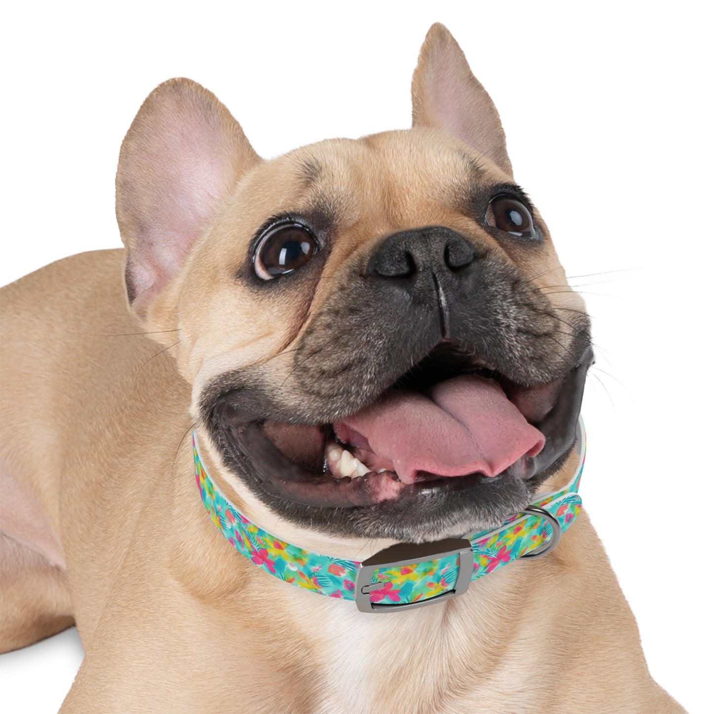 Bright Summer Vibes Watercolor Pattern Dog Collar