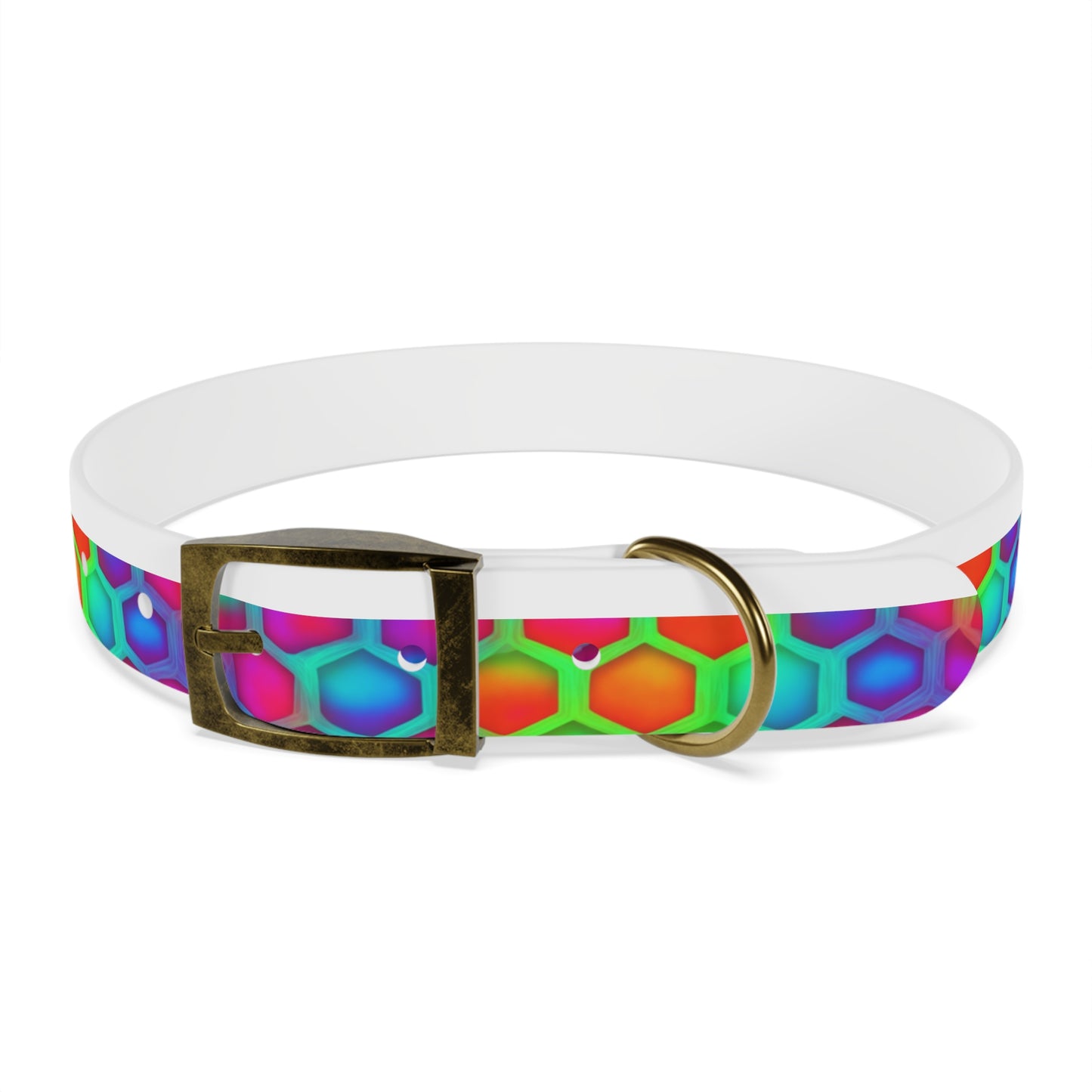 Color Hive Dog Collar