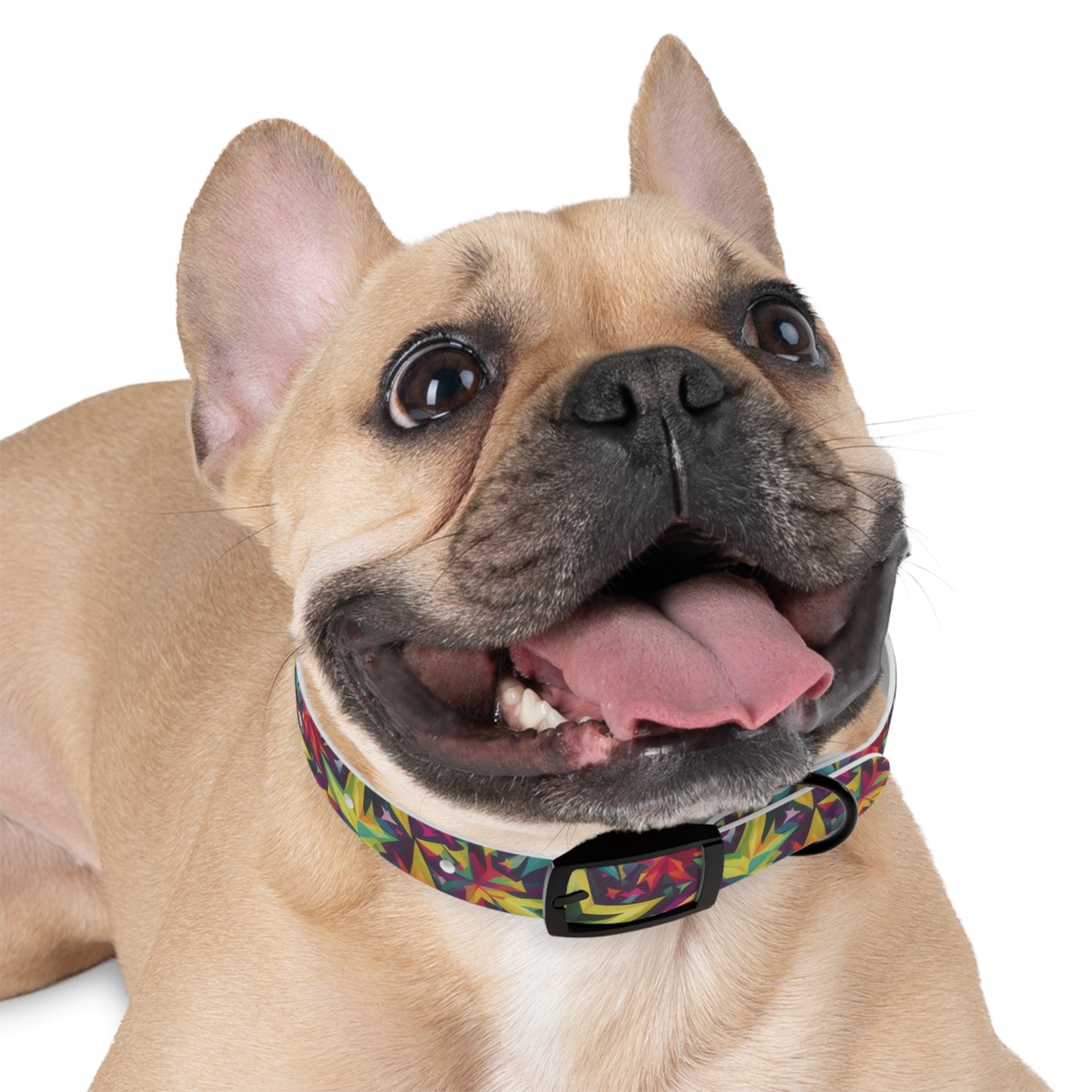 Astral Gleam Dog Collar