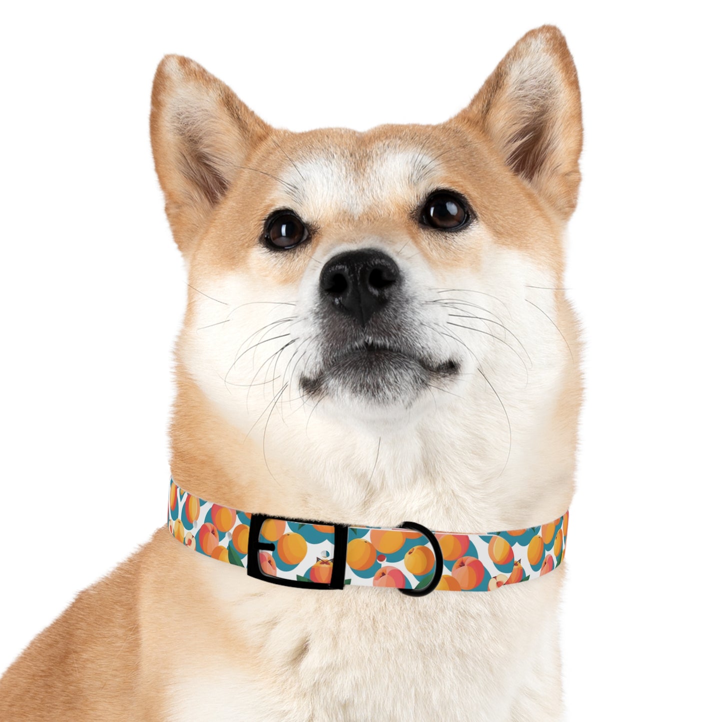 Peachy Keen Dog Collar