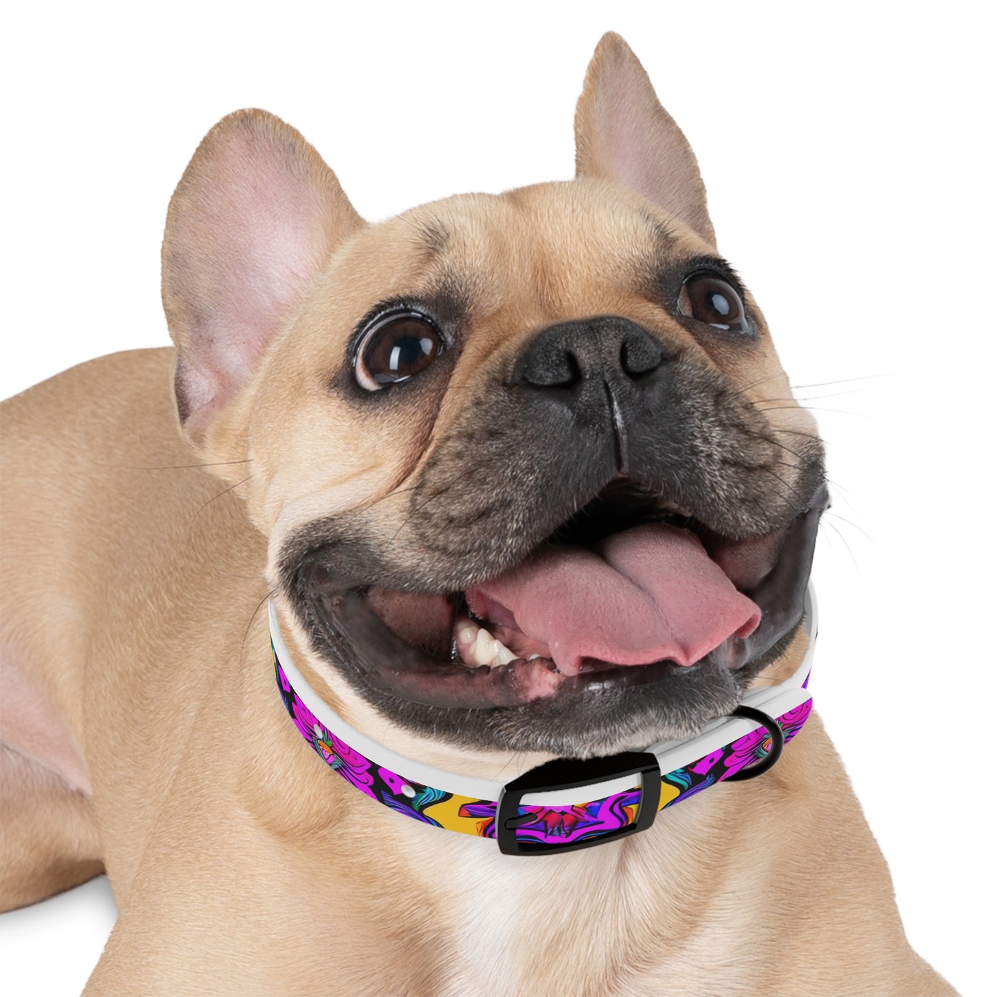 Vibrant Illusions Dog Collar