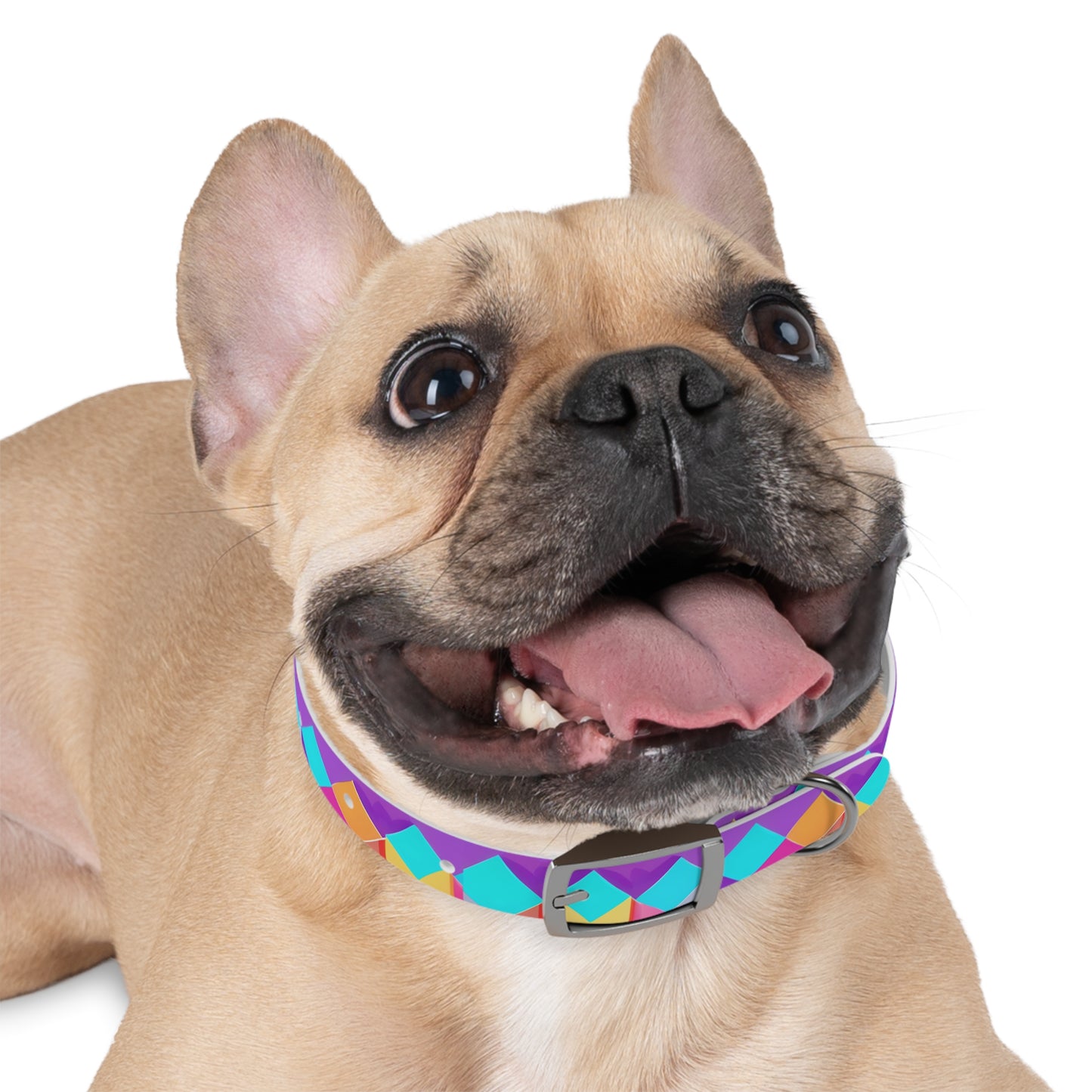 Prismatic Patterns Dog Collar