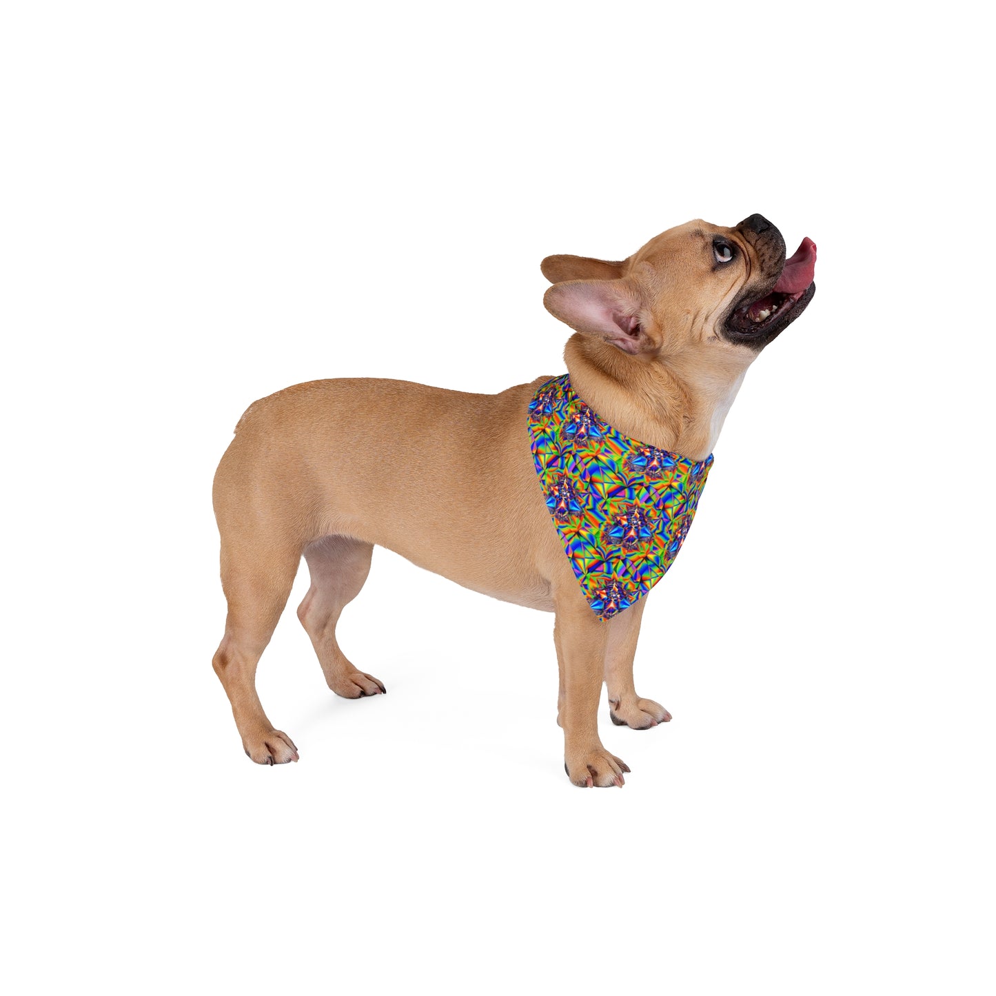 Galactic Glimmer Pet Bandana