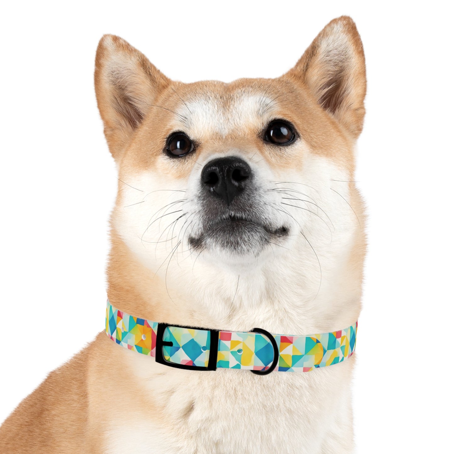 Mosaic Mirage Dog Collar