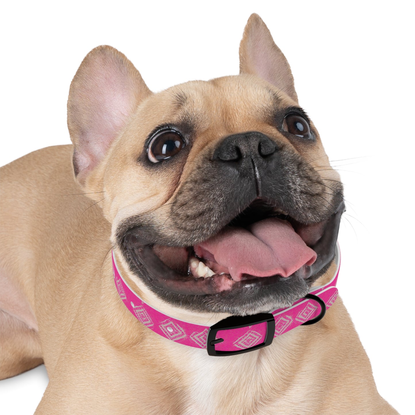 Brilliant Bliss Dog Collar