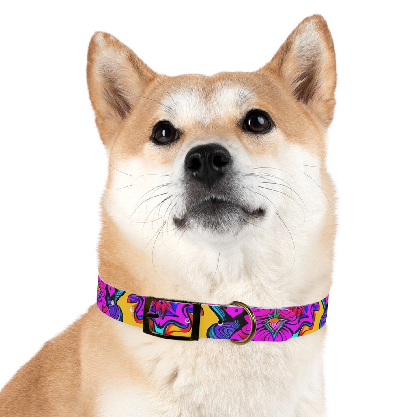 Vibrant Illusions Dog Collar