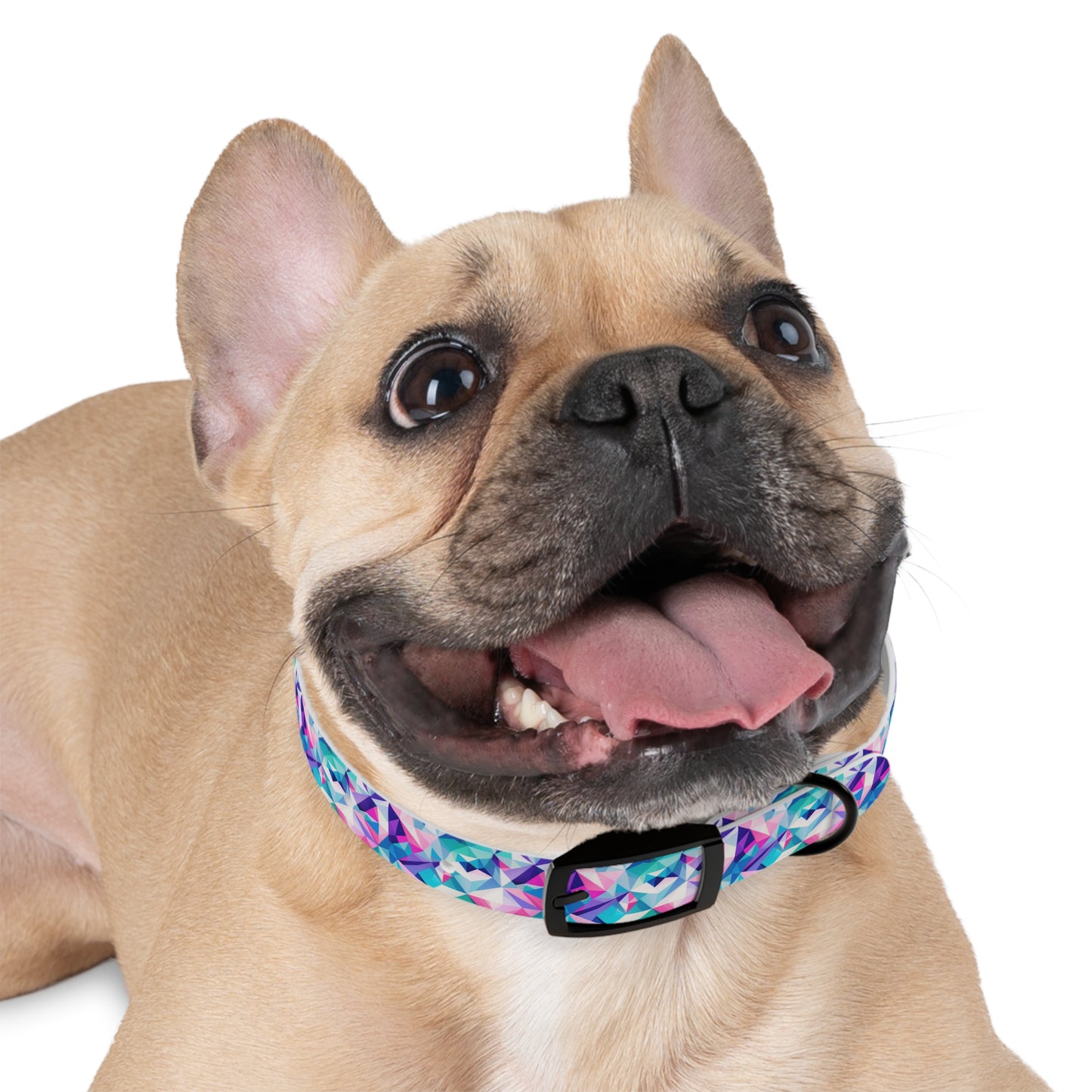 Fractal Flair Dog Collar