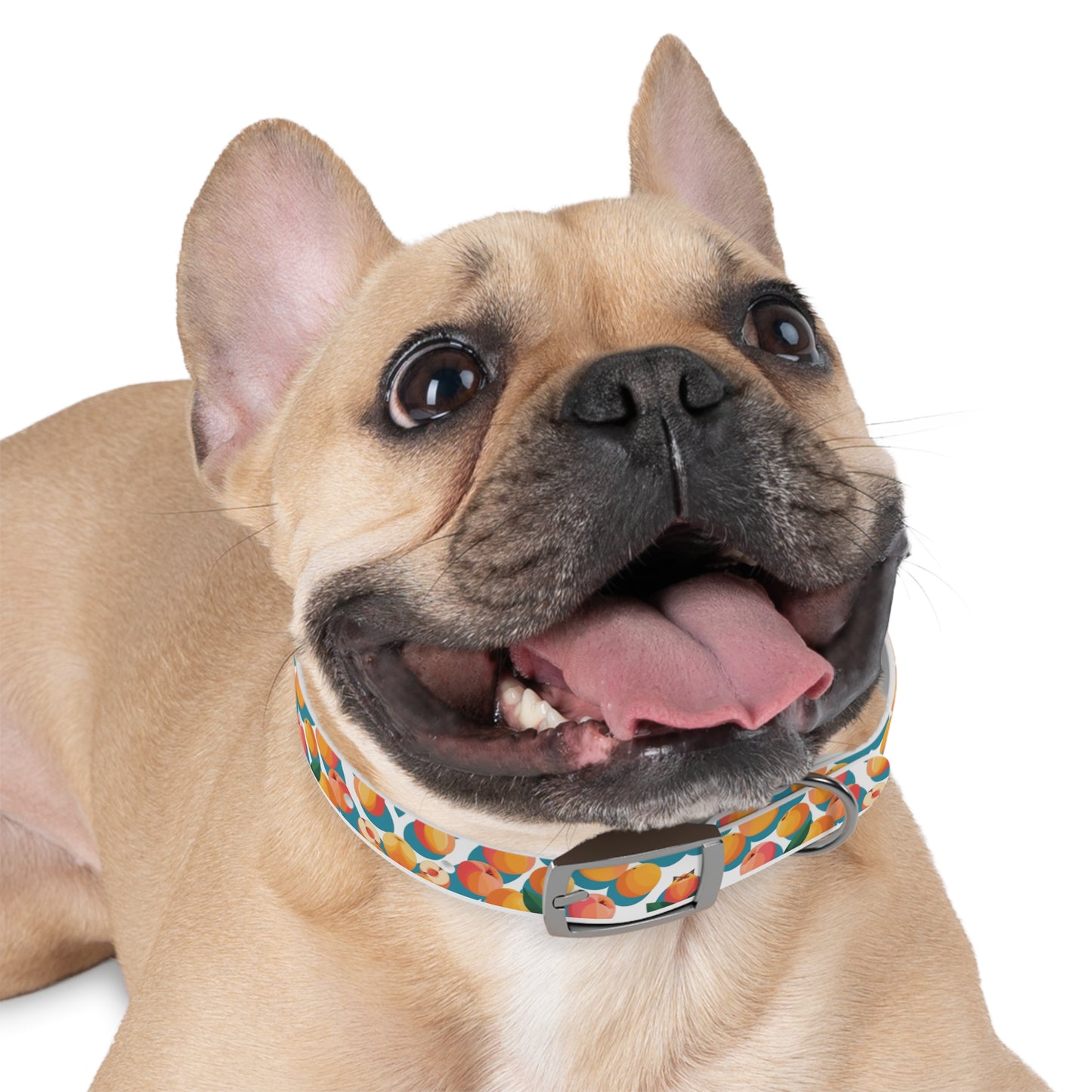 Peachy Keen Dog Collar