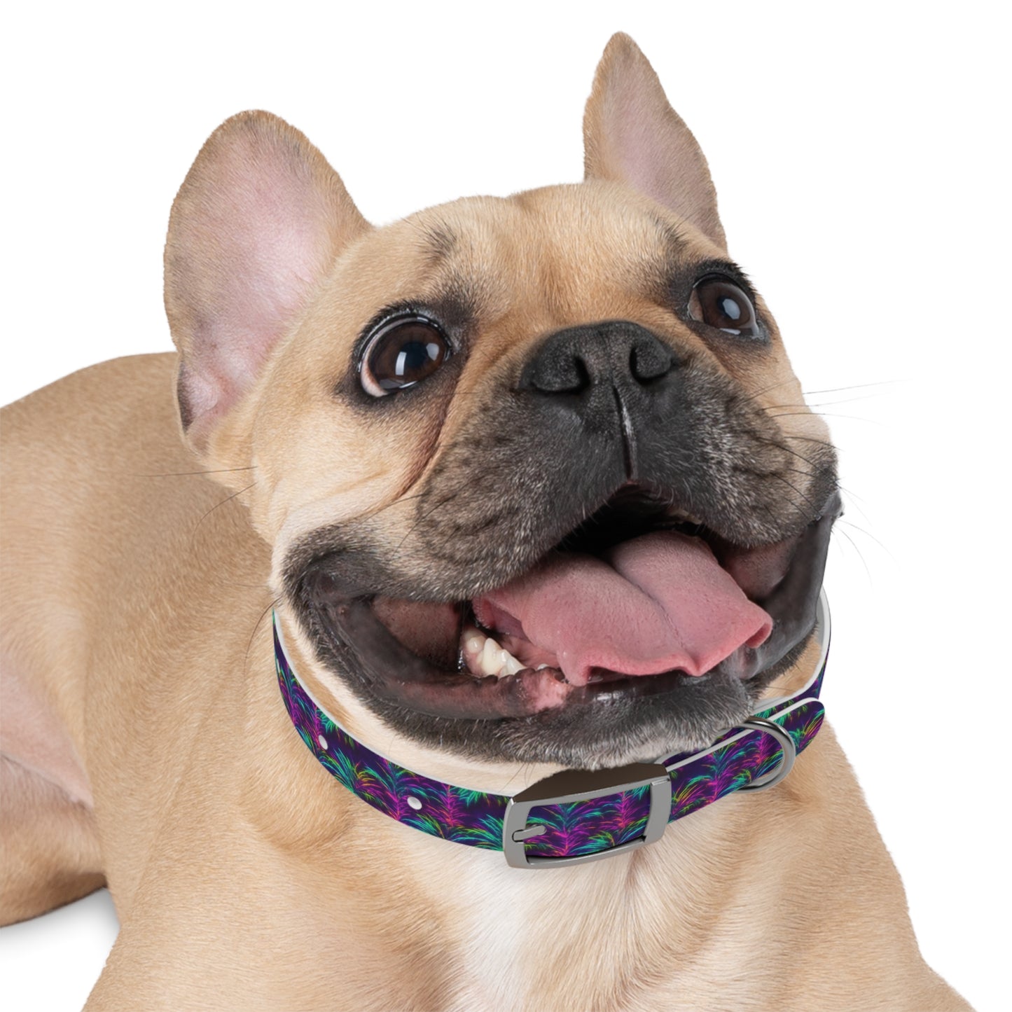 Electric Oasis Dog Collar