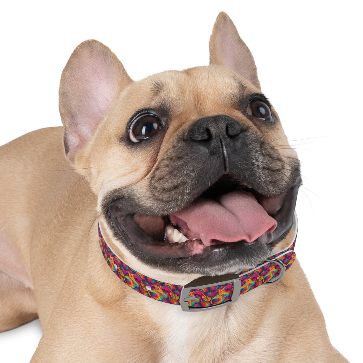 Abstract Woof Dog Collar