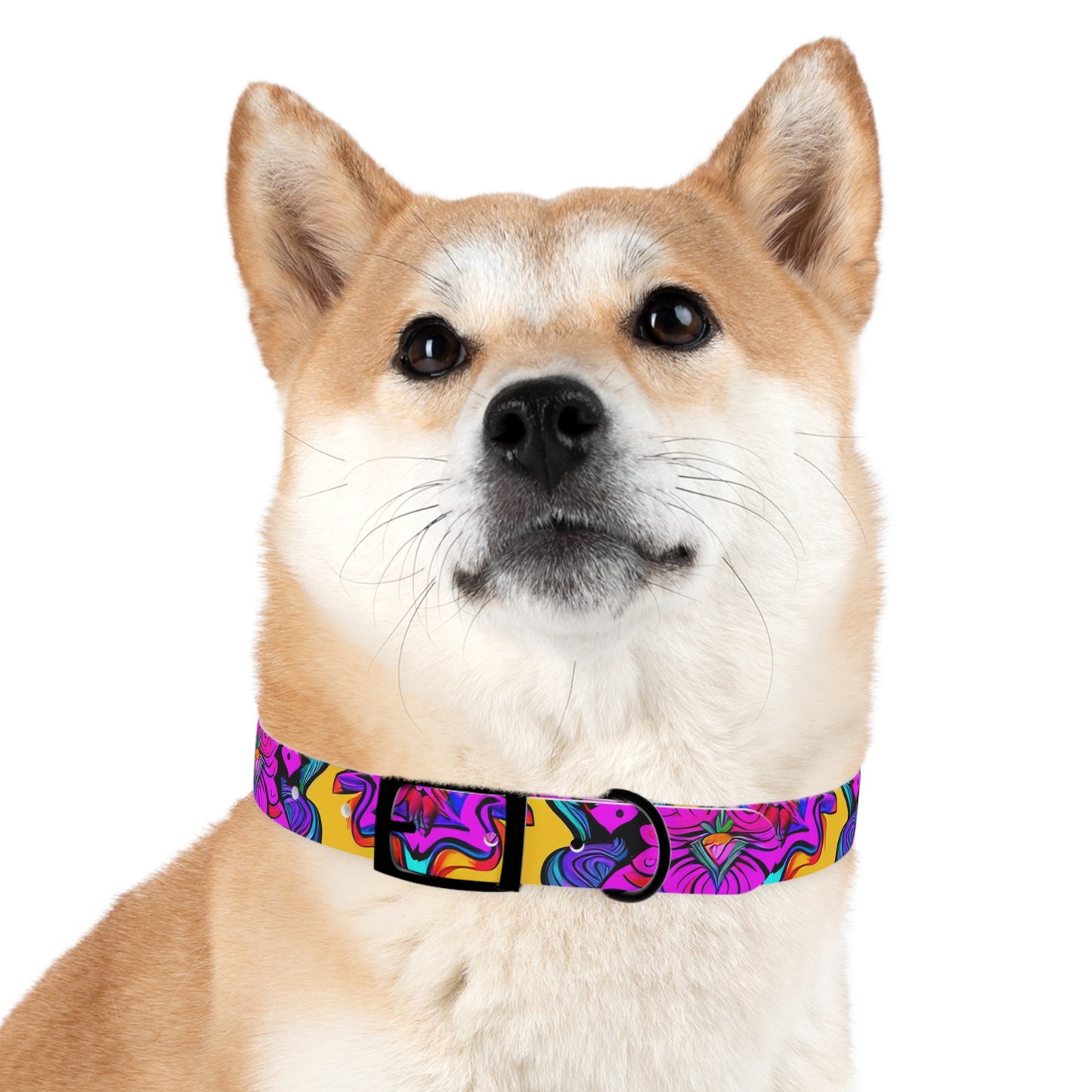 Vibrant Illusions Dog Collar