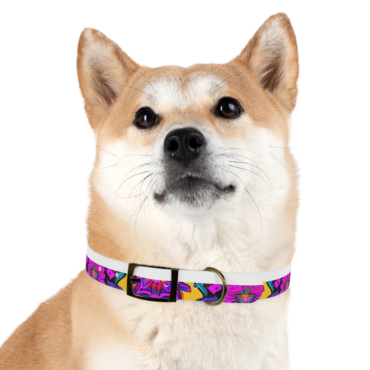 Vibrant Illusions Dog Collar