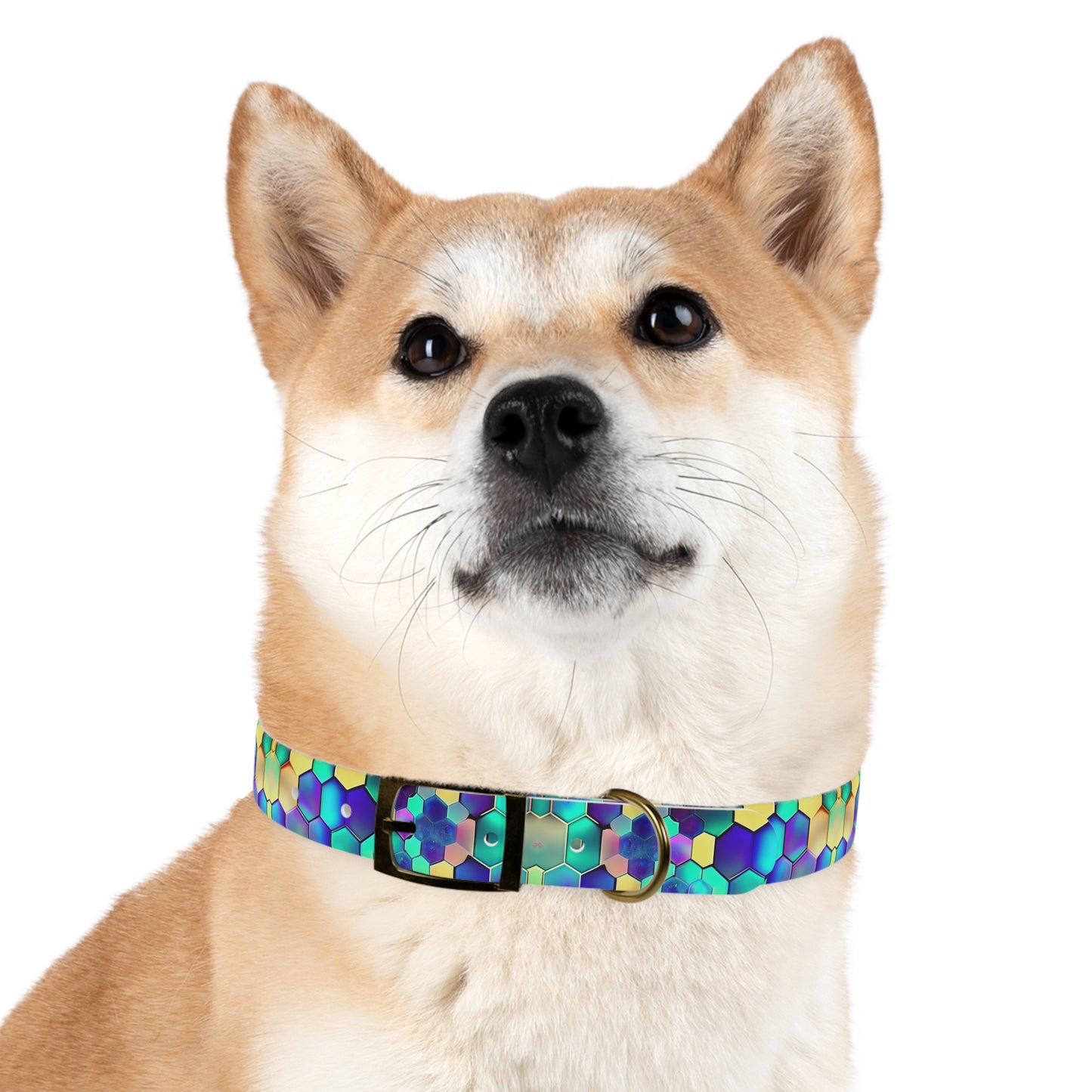 Vibrant Comb Dog Collar