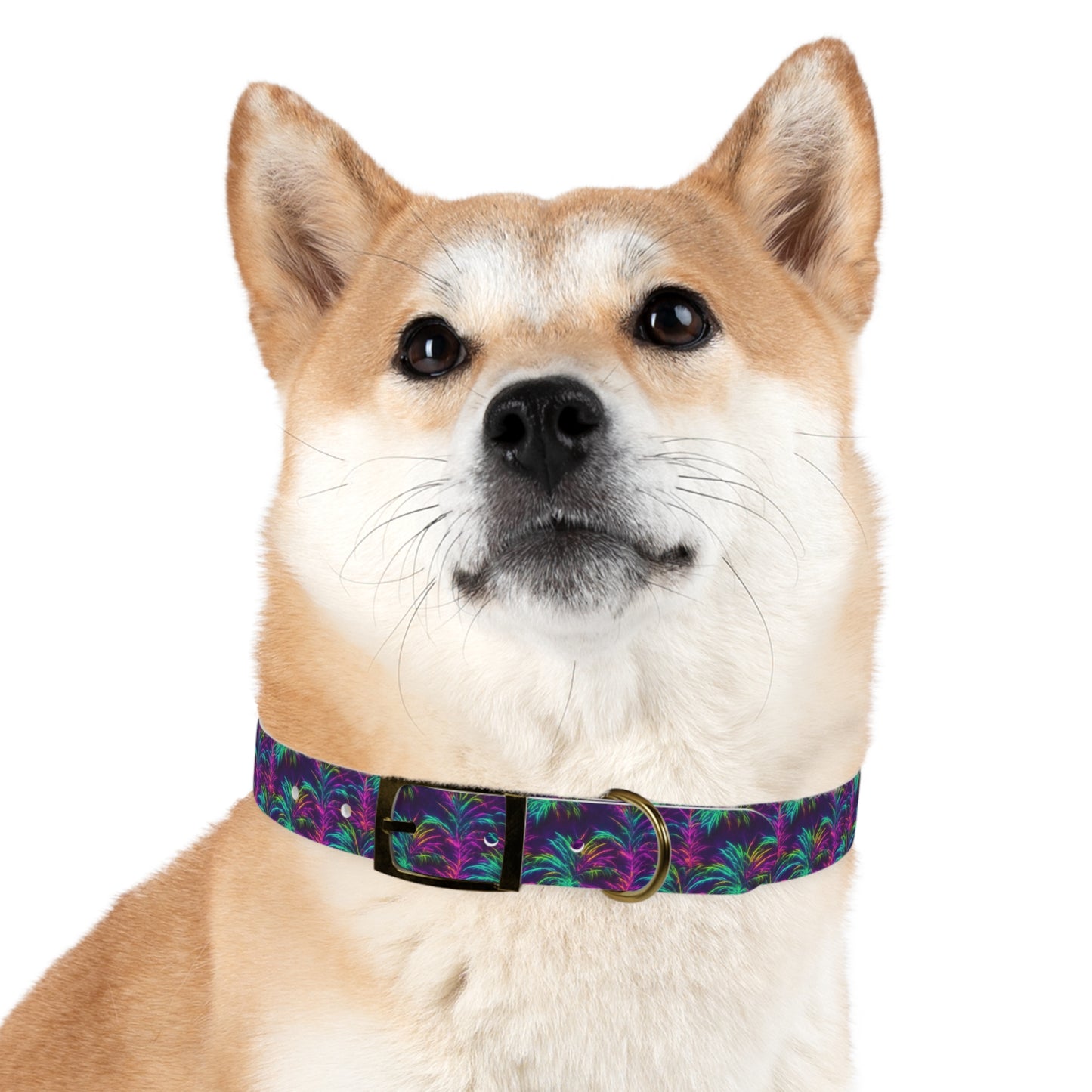 Electric Oasis Dog Collar