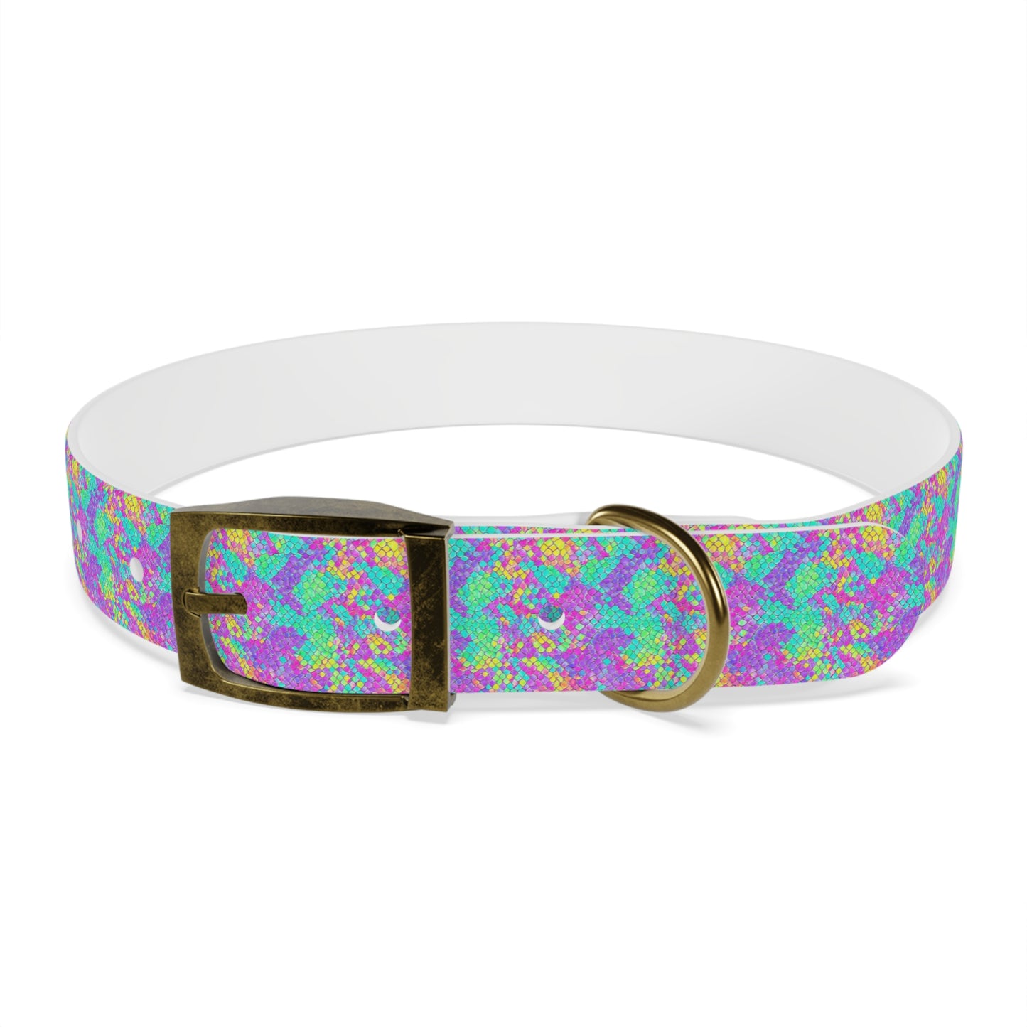 Fluid Fusion Dog Collar