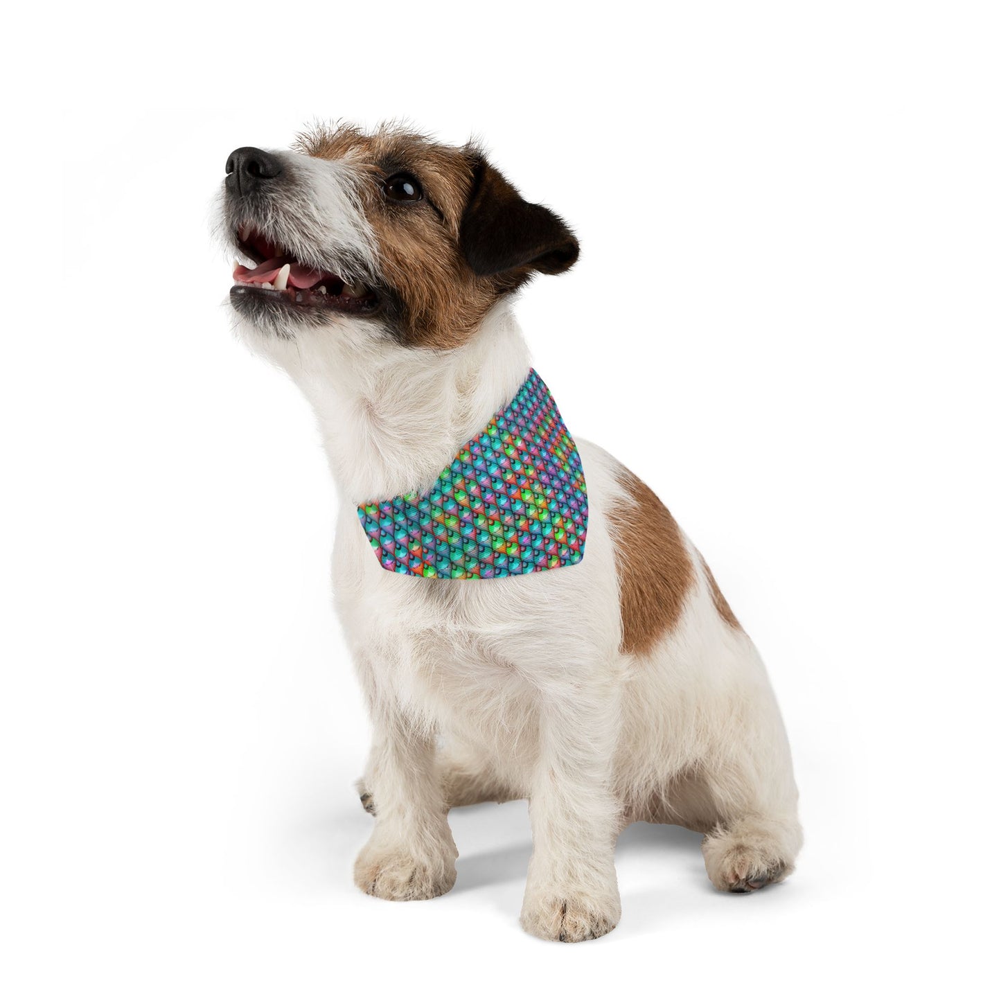 Aqua-Enchant Pet Bandana Collar