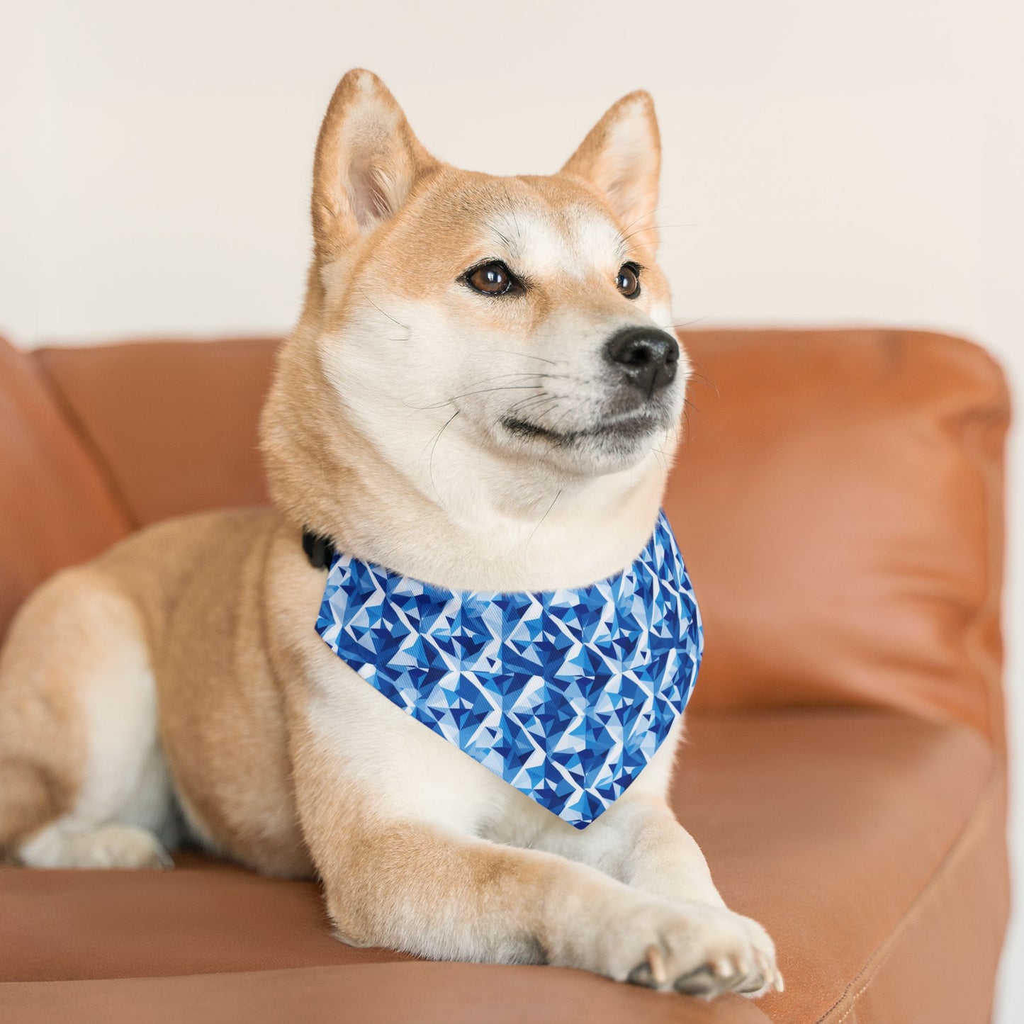 Shattered Spectrum Pet Bandana Collar