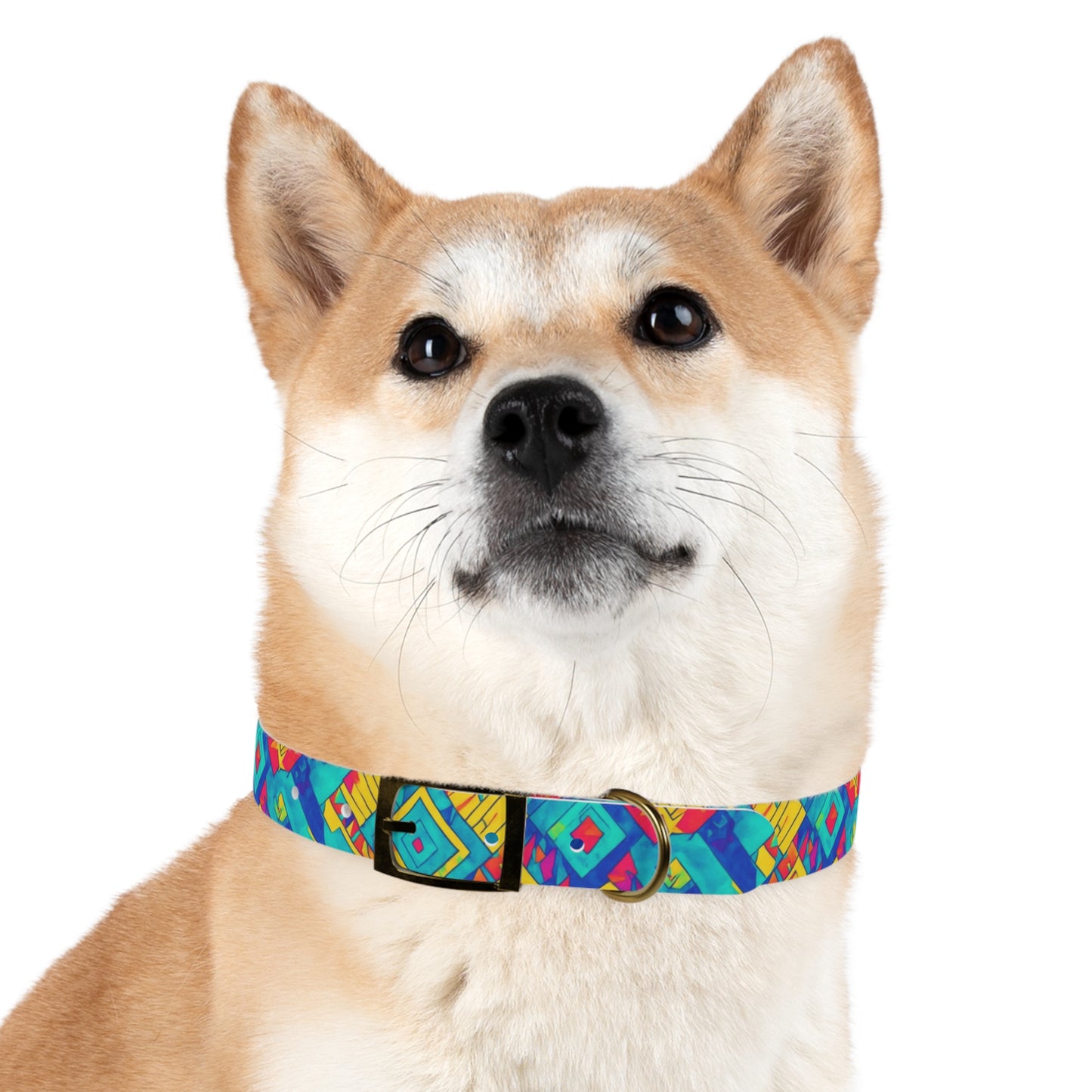 Diamond Dance Dog Collar